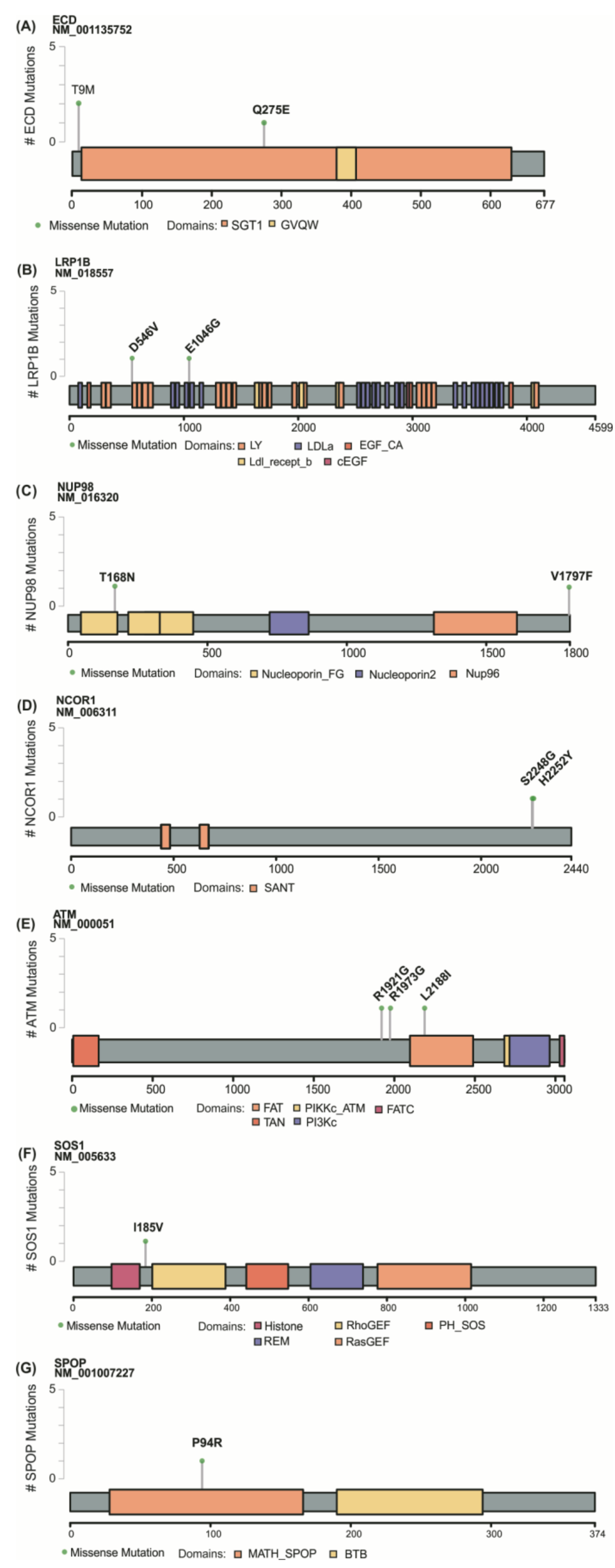Cancers 13 05184 g003