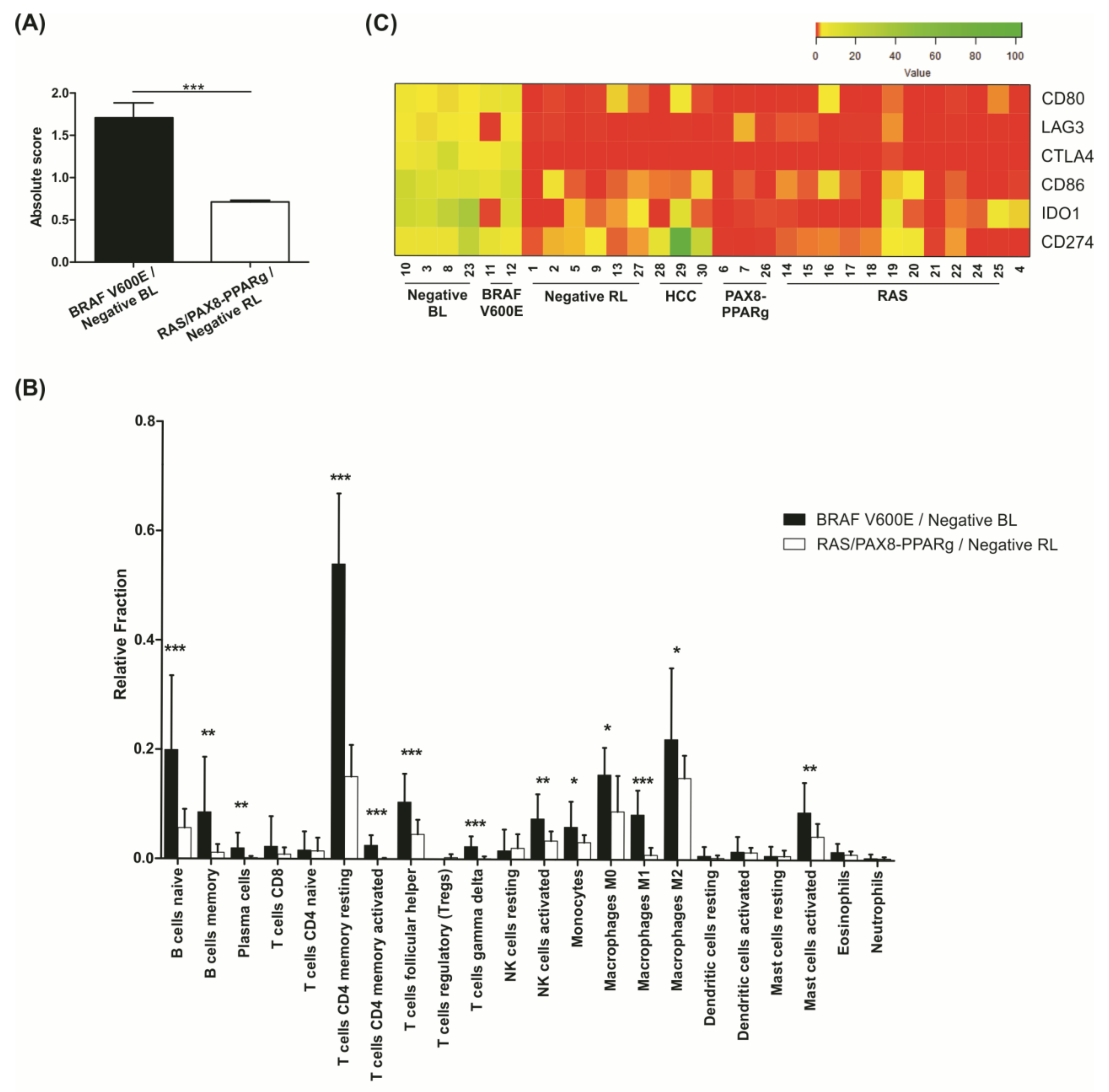 Cancers 13 05184 g007