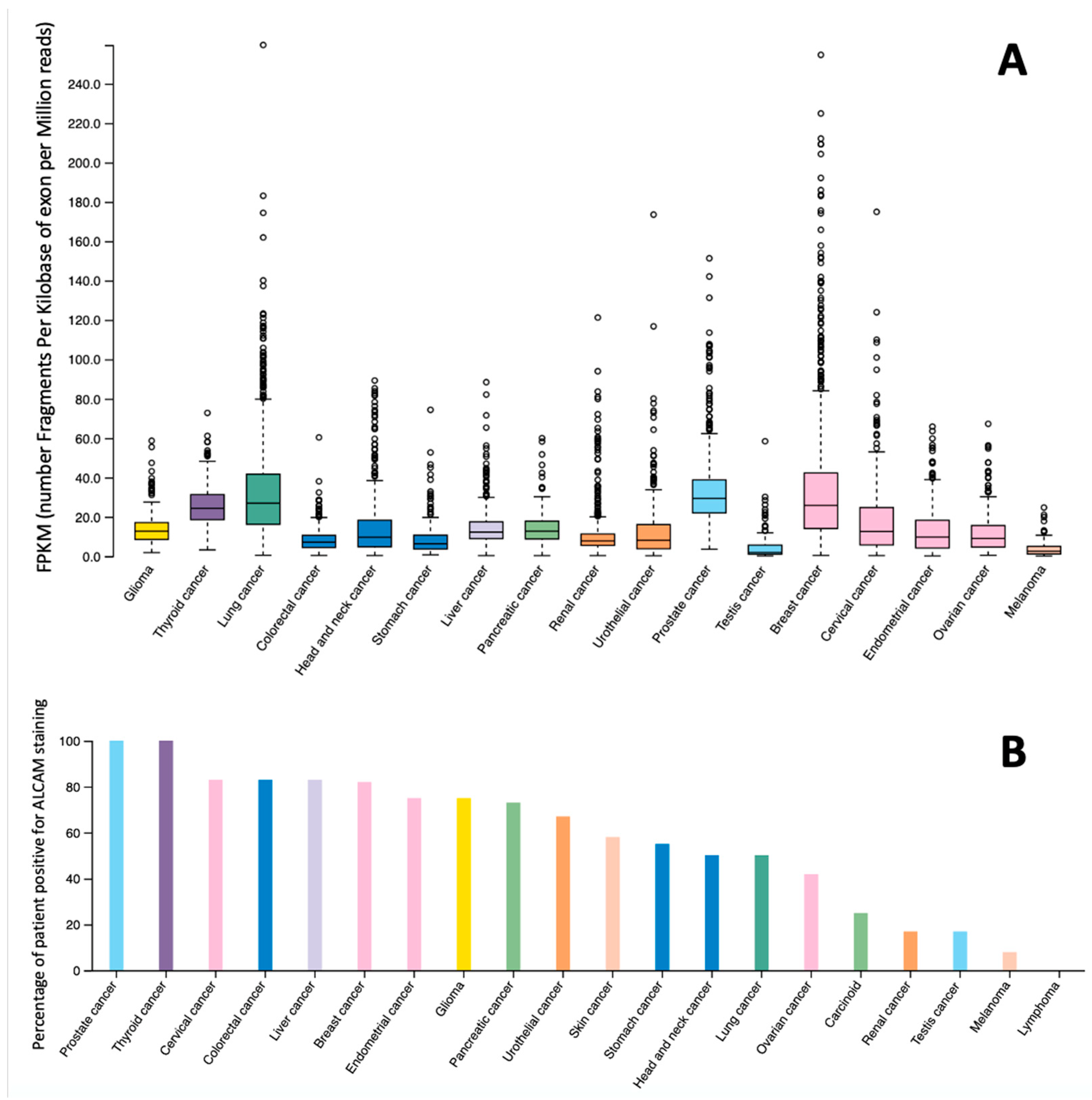 Cancers 13 05187 g003