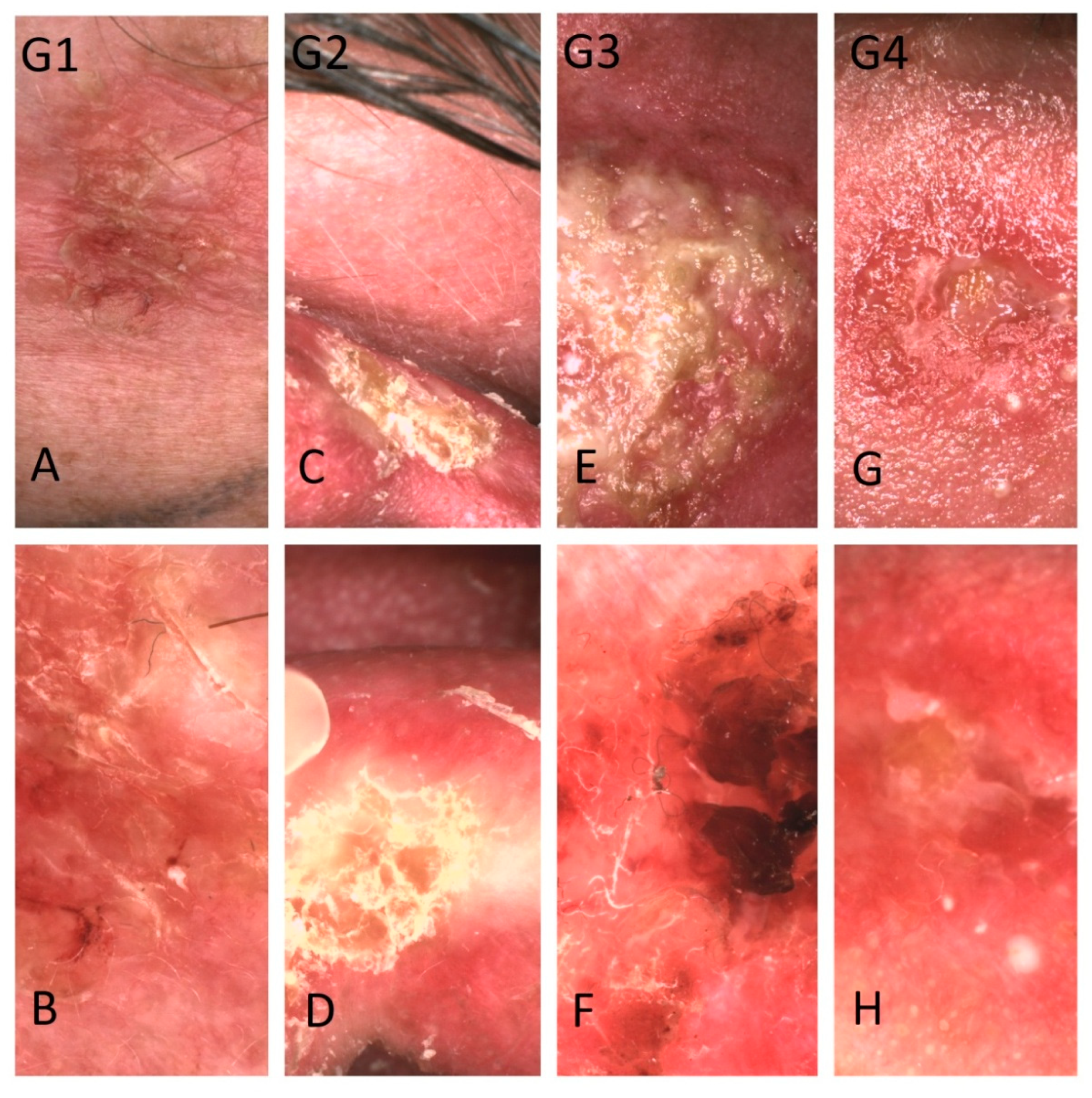 Cancers 13 05188 g008 550