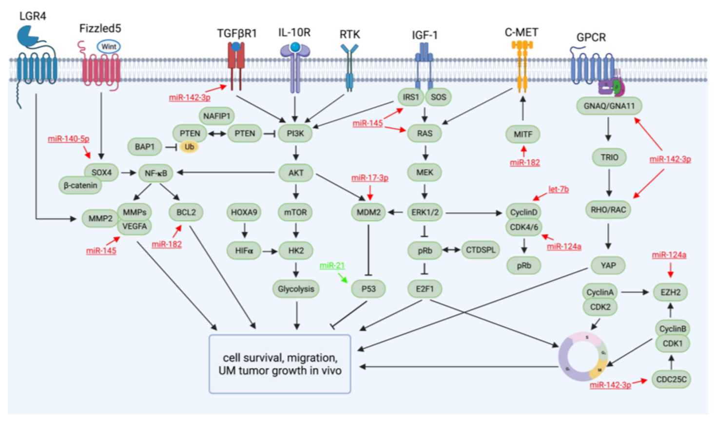 Cancers 13 05192 g001 Cancers 13 05192 g001