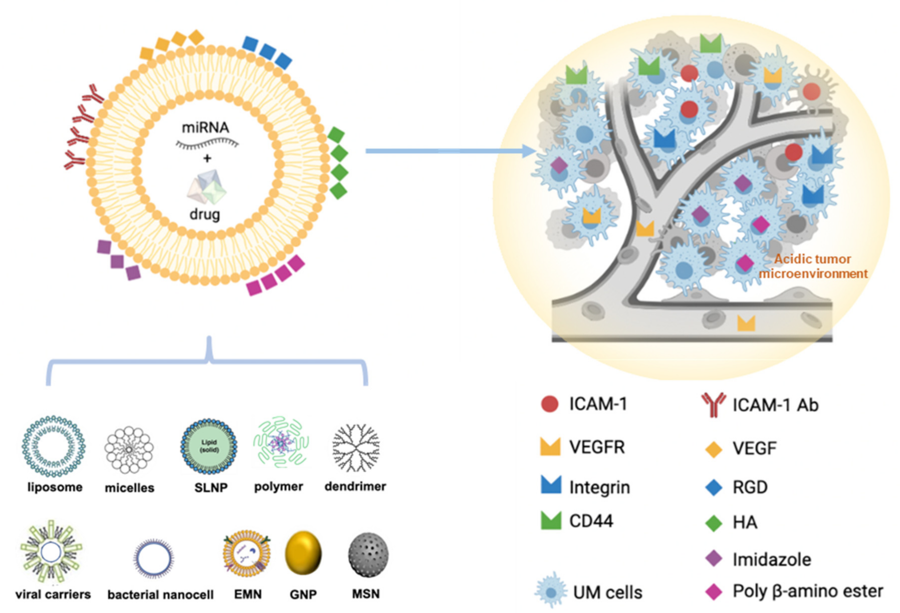 Cancers 13 05192 g002 Cancers 13 05192 g002