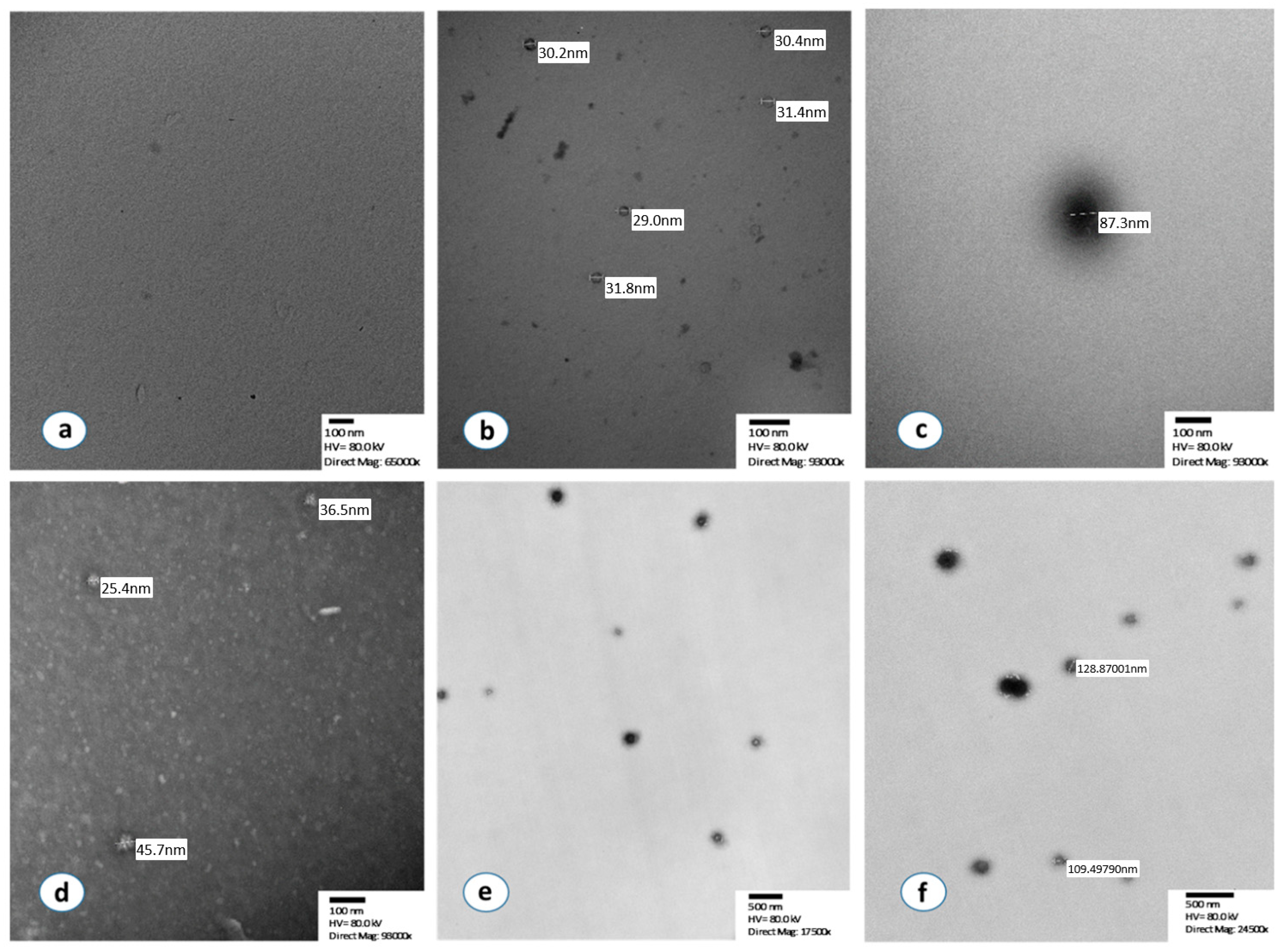 Cancers 13 05193 g001