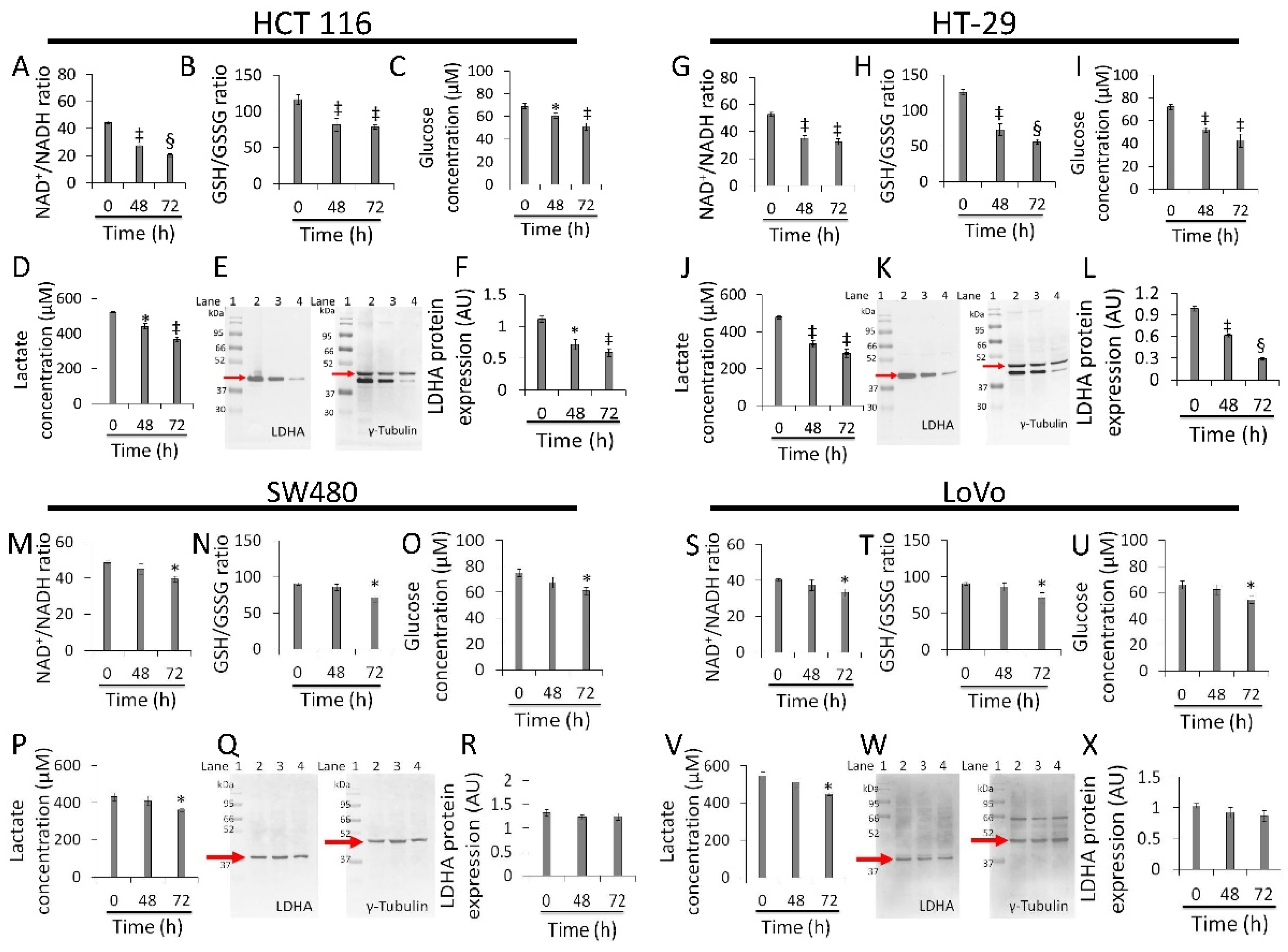 Cancers 13 05196 g005 Cancers 13 05196 g005