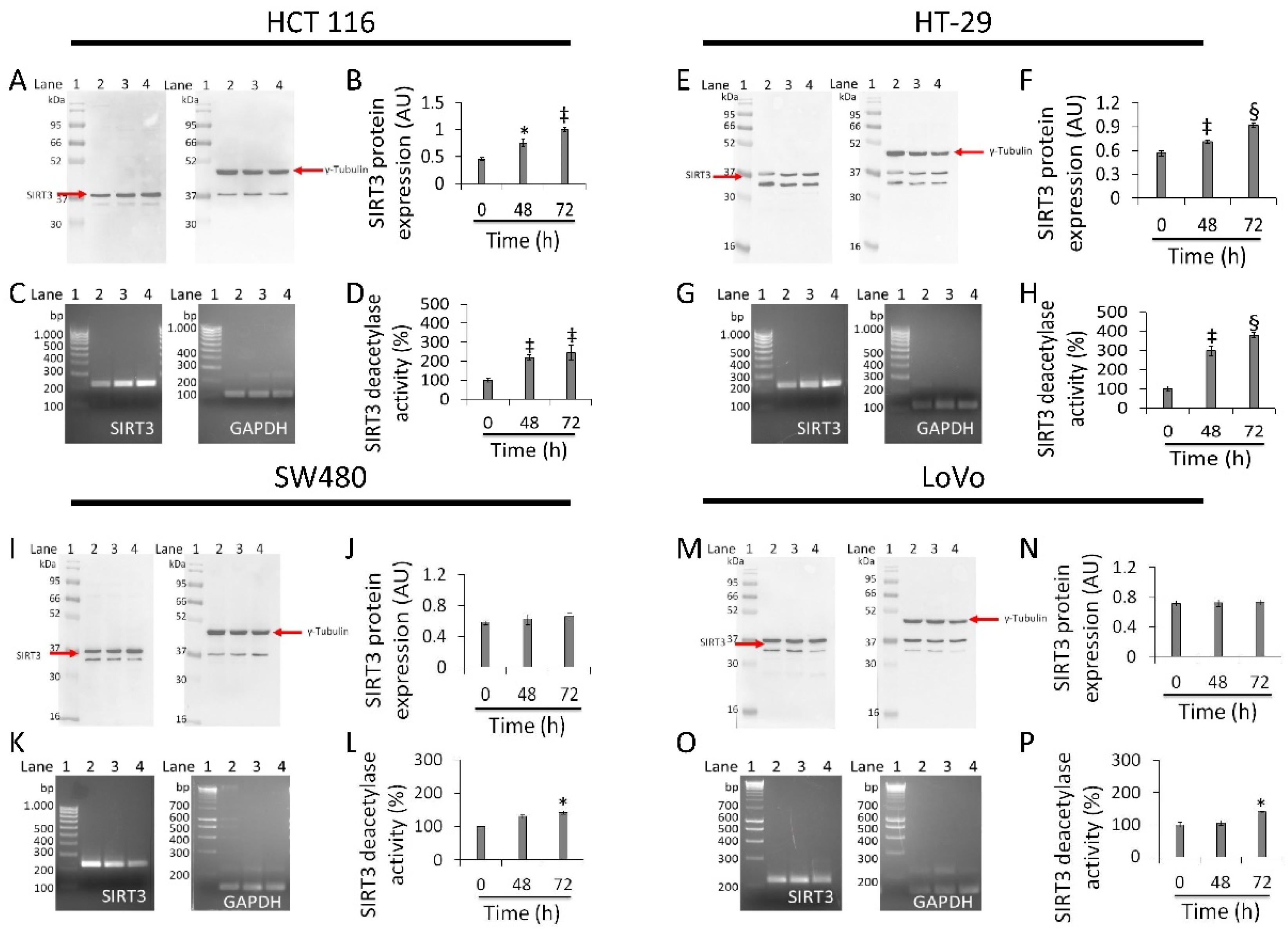 Cancers 13 05196 g006 Cancers 13 05196 g006