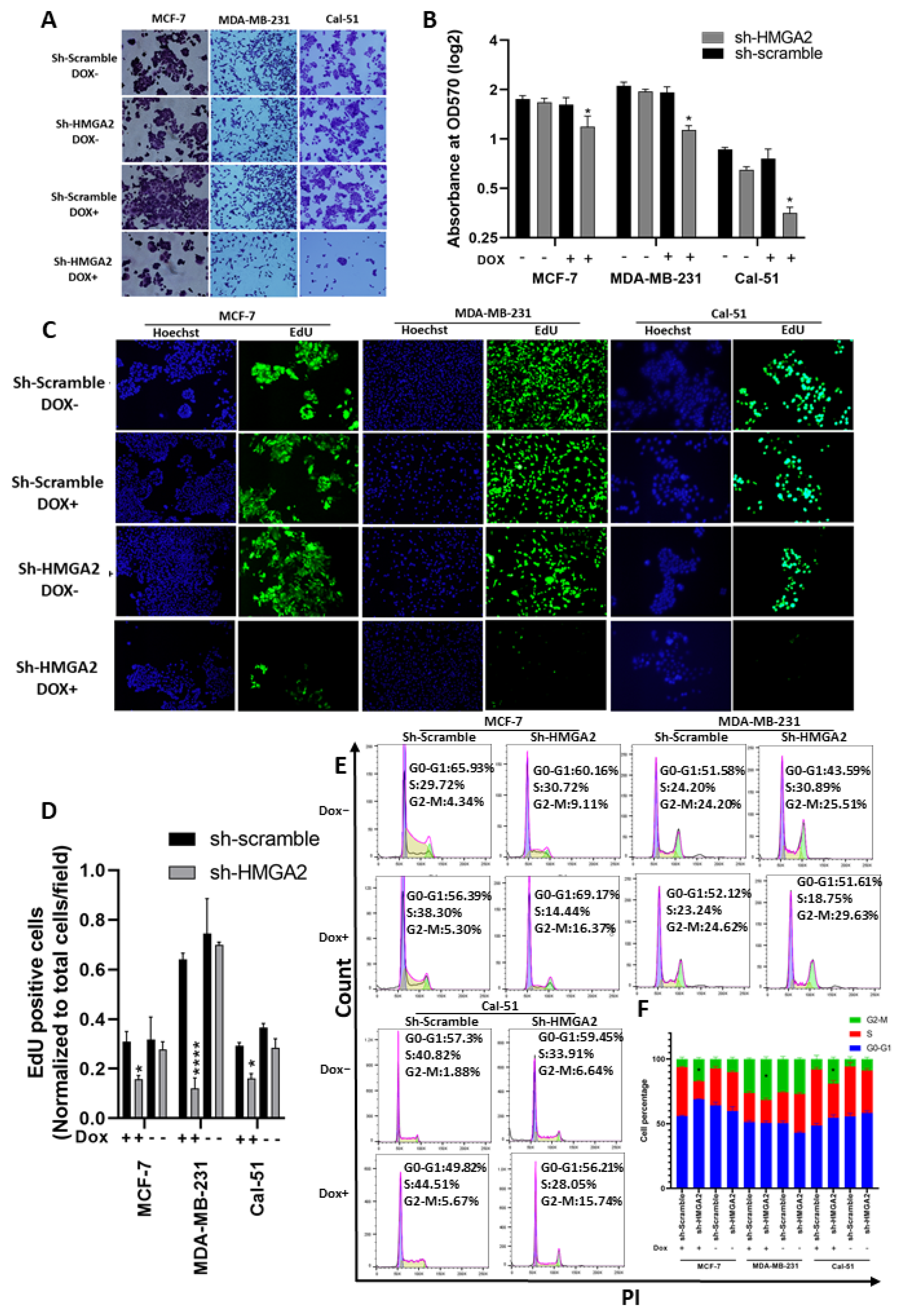 Cancers 13 05197 g003