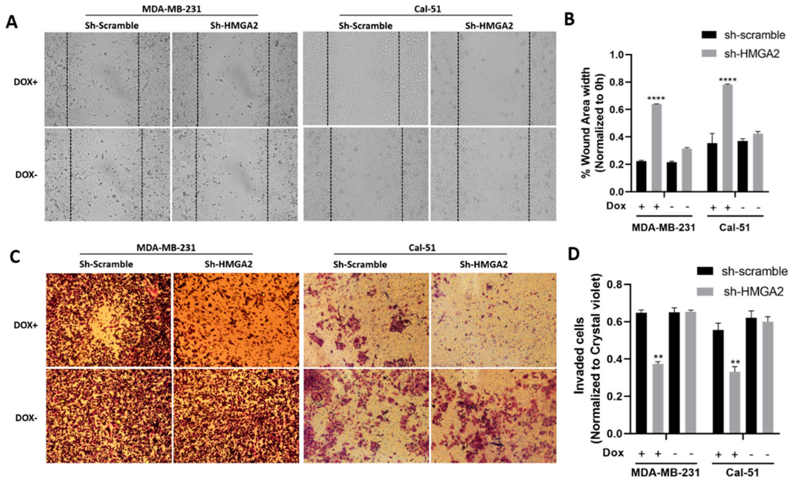 Cancers 13 05197 g004