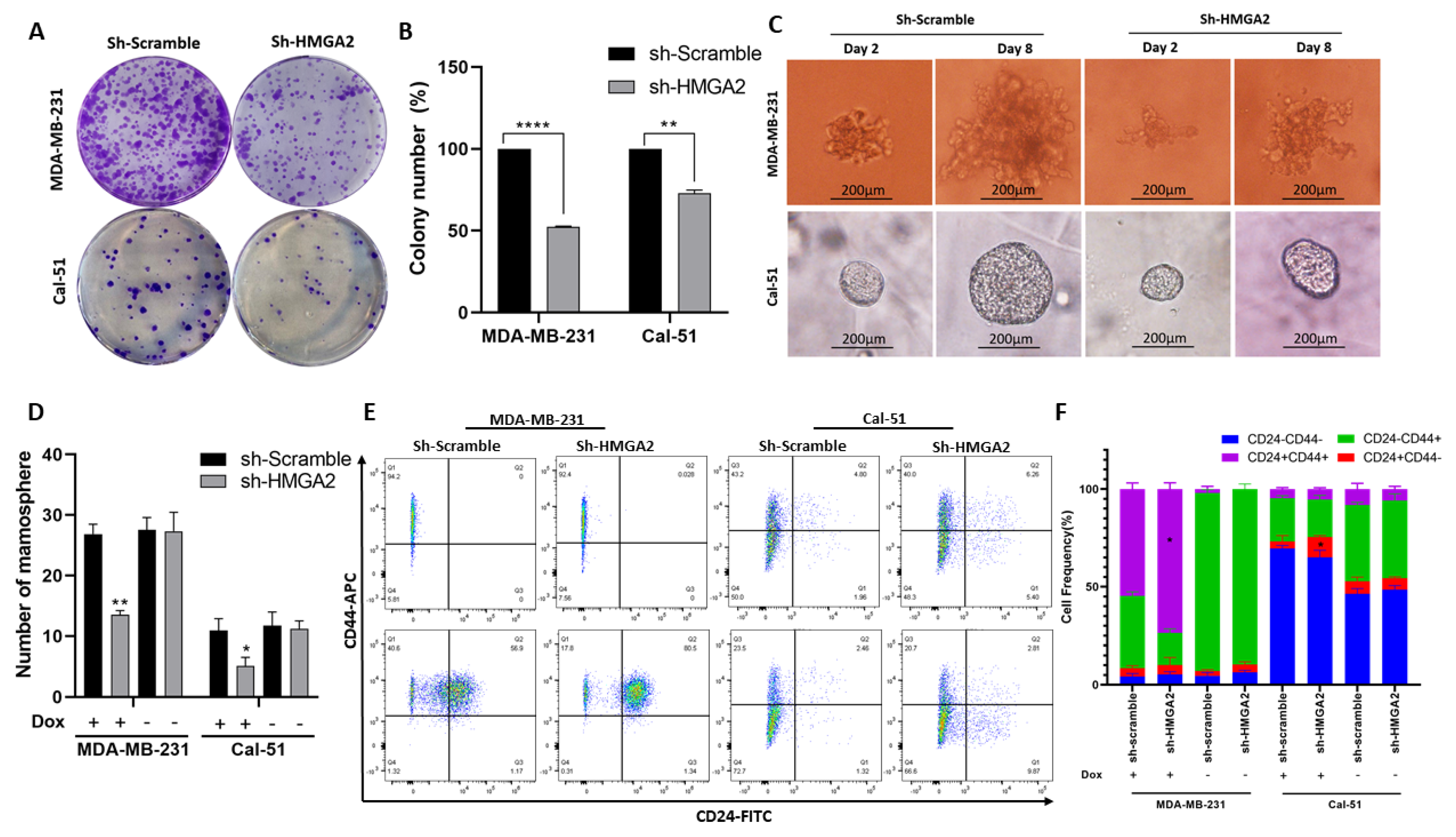 Cancers 13 05197 g005