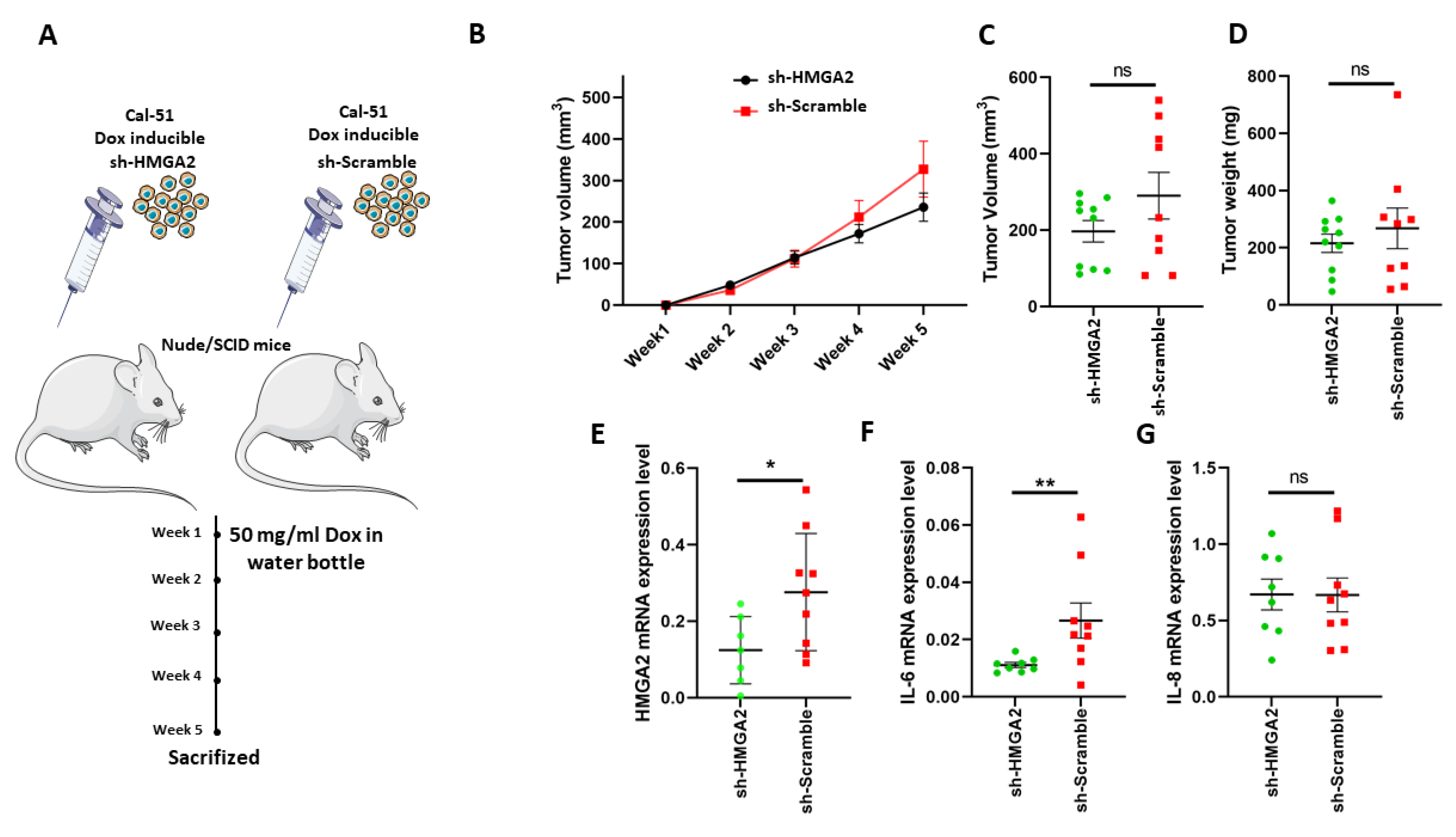 Cancers 13 05197 g008