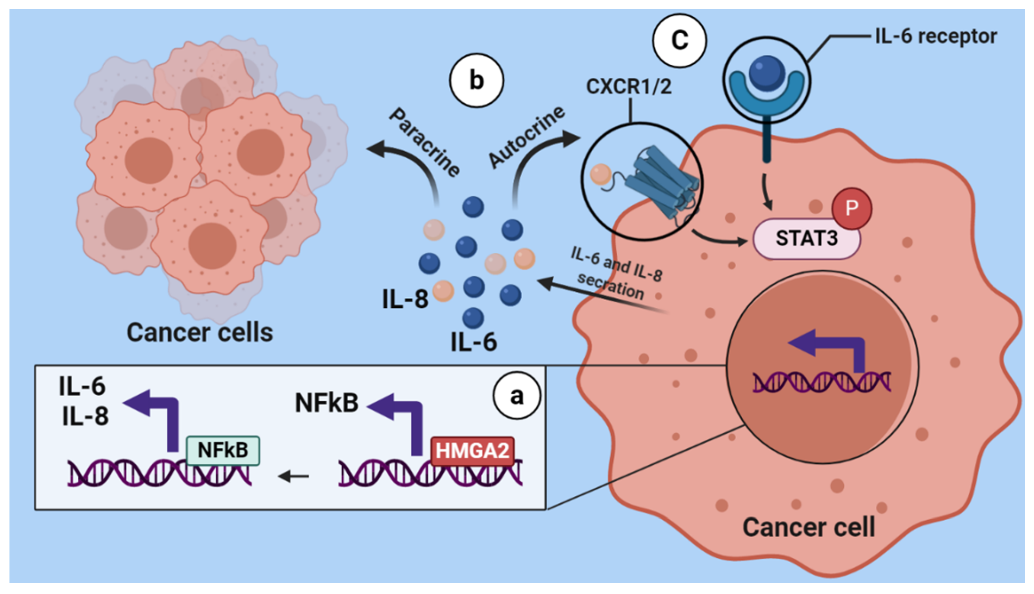Cancers 13 05197 g009