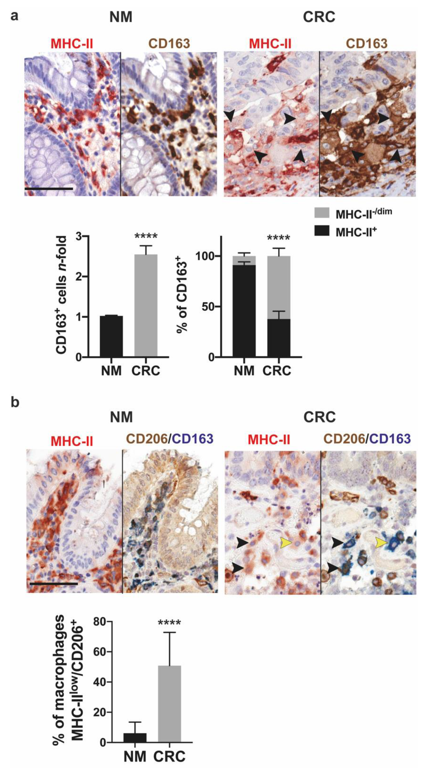 Cancers 13 05199 g001 550