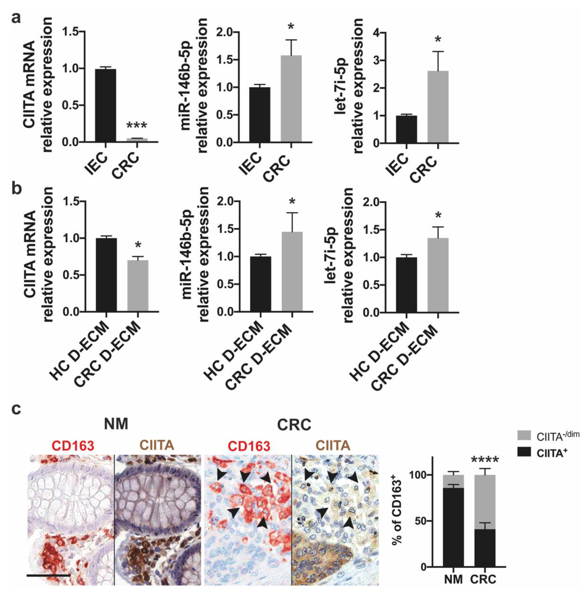 Cancers 13 05199 g006 550