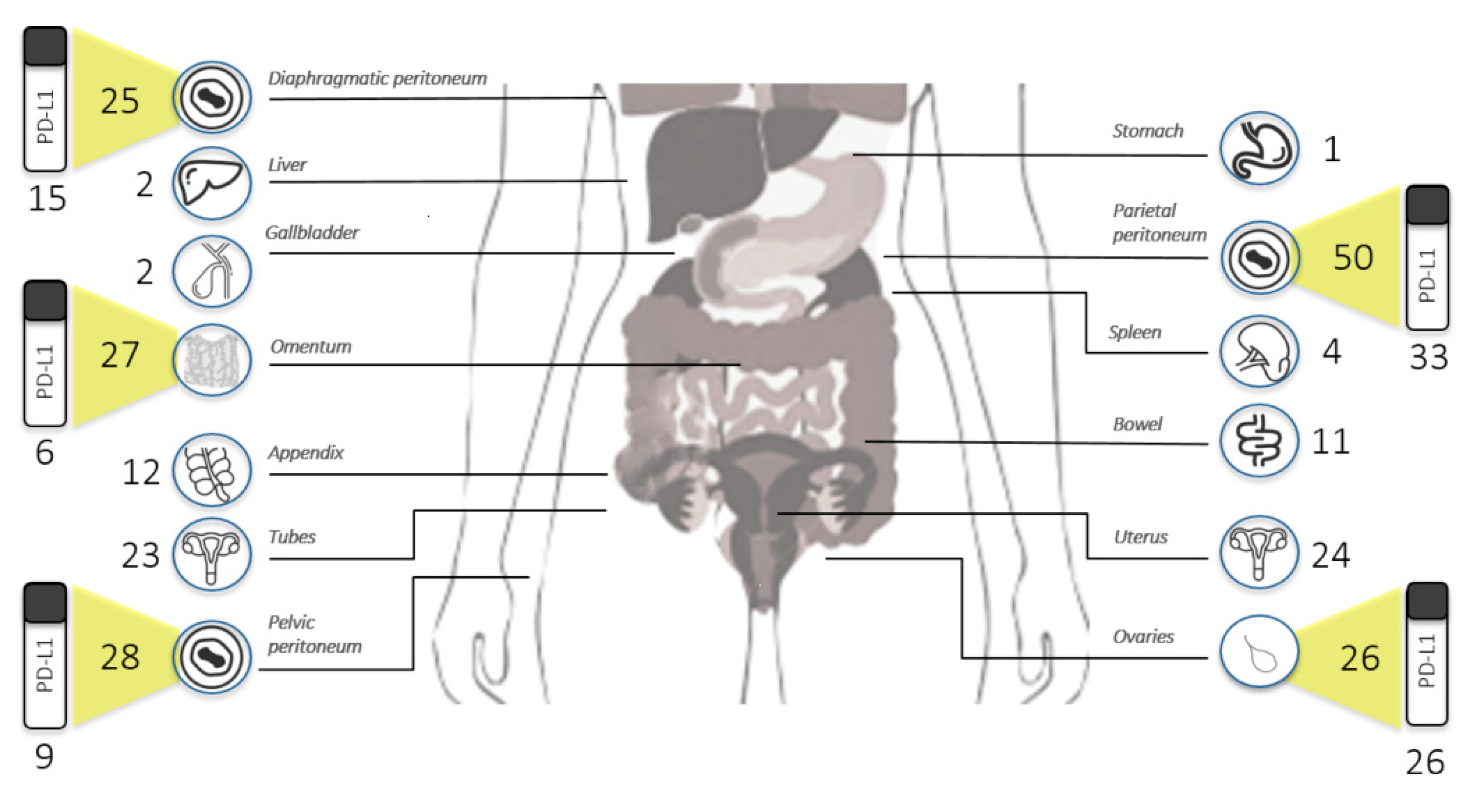Cancers 13 05200 g001 550
