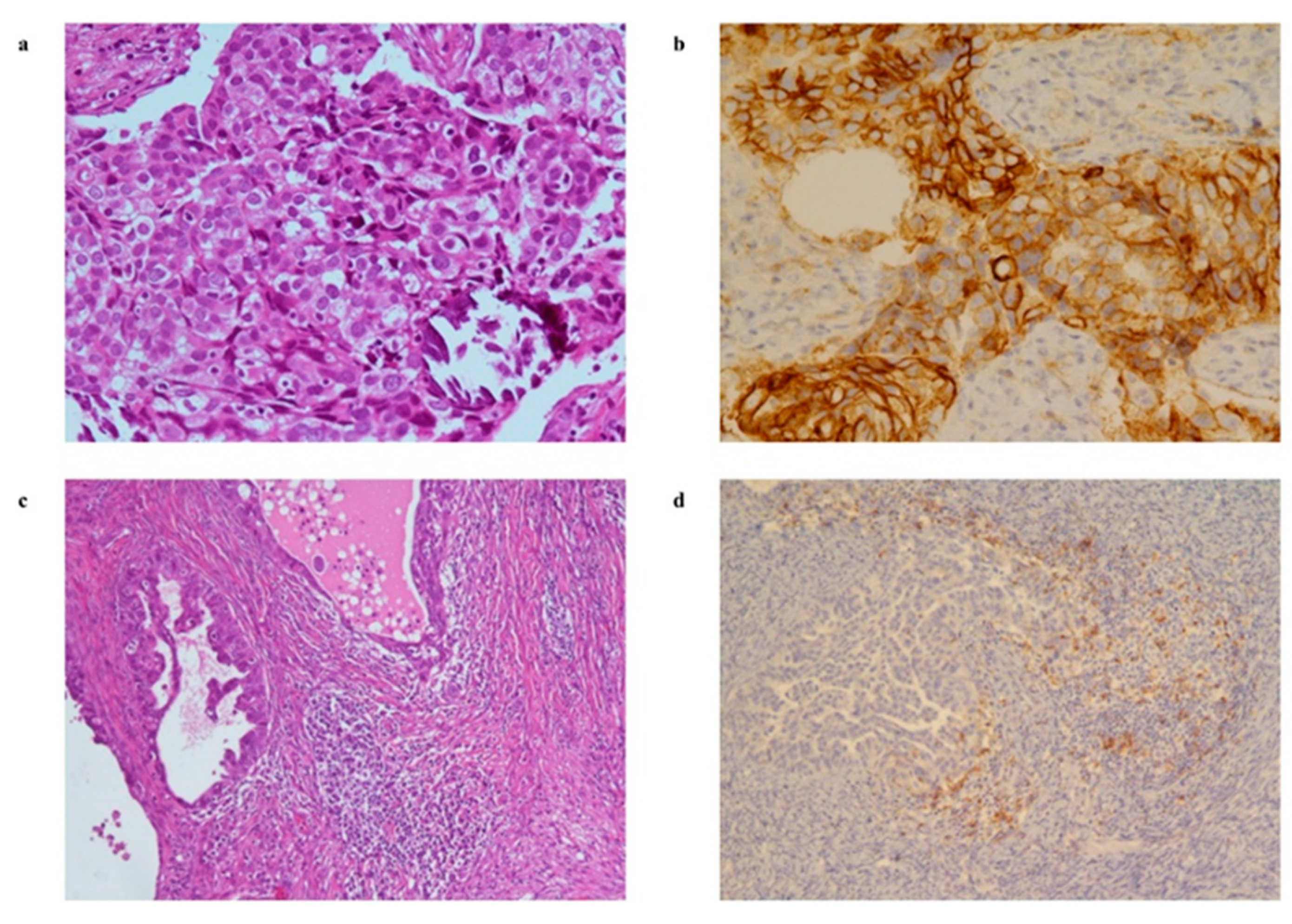 Cancers 13 05200 g003 550