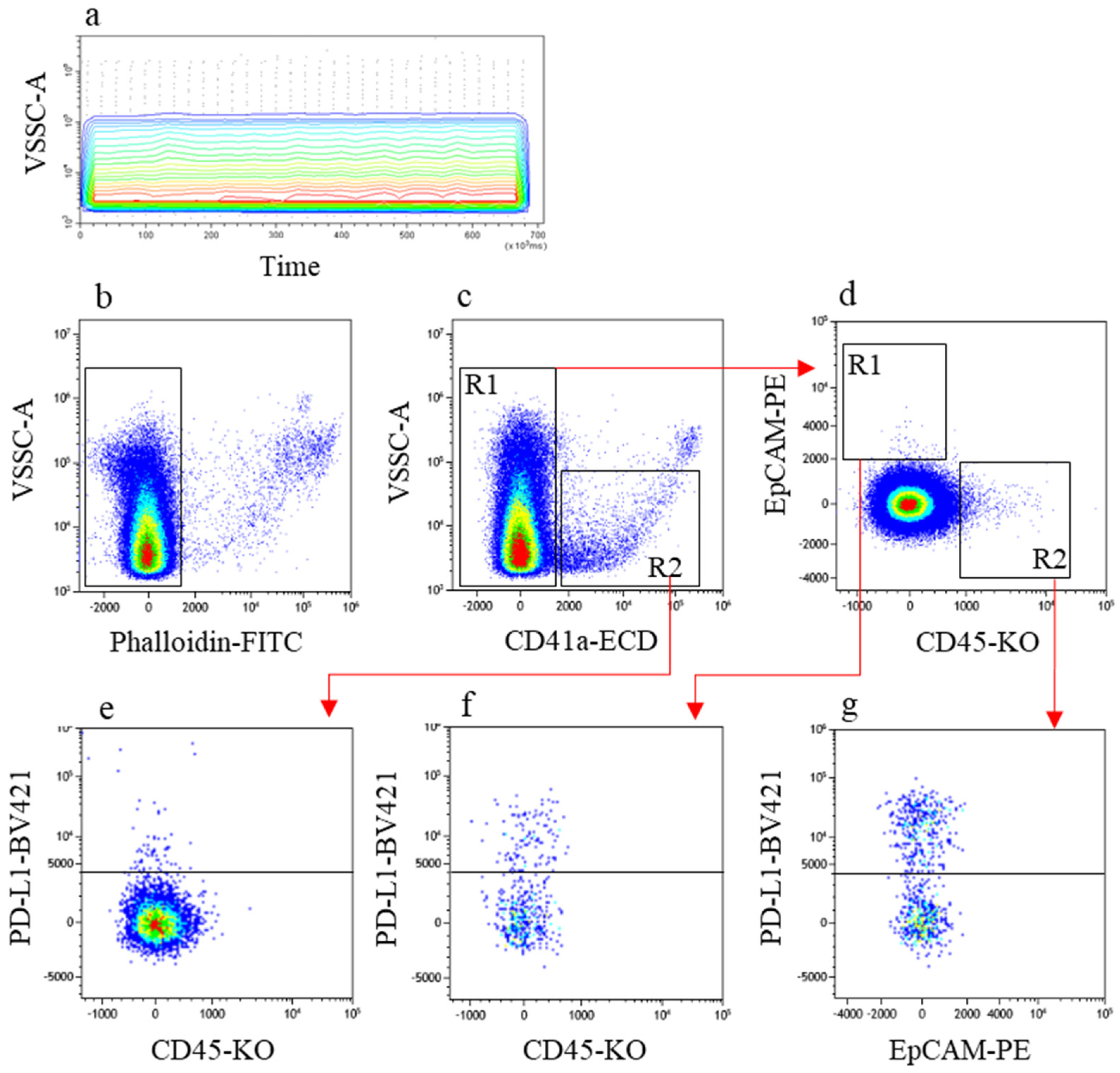 Cancers 13 05200 g005 550