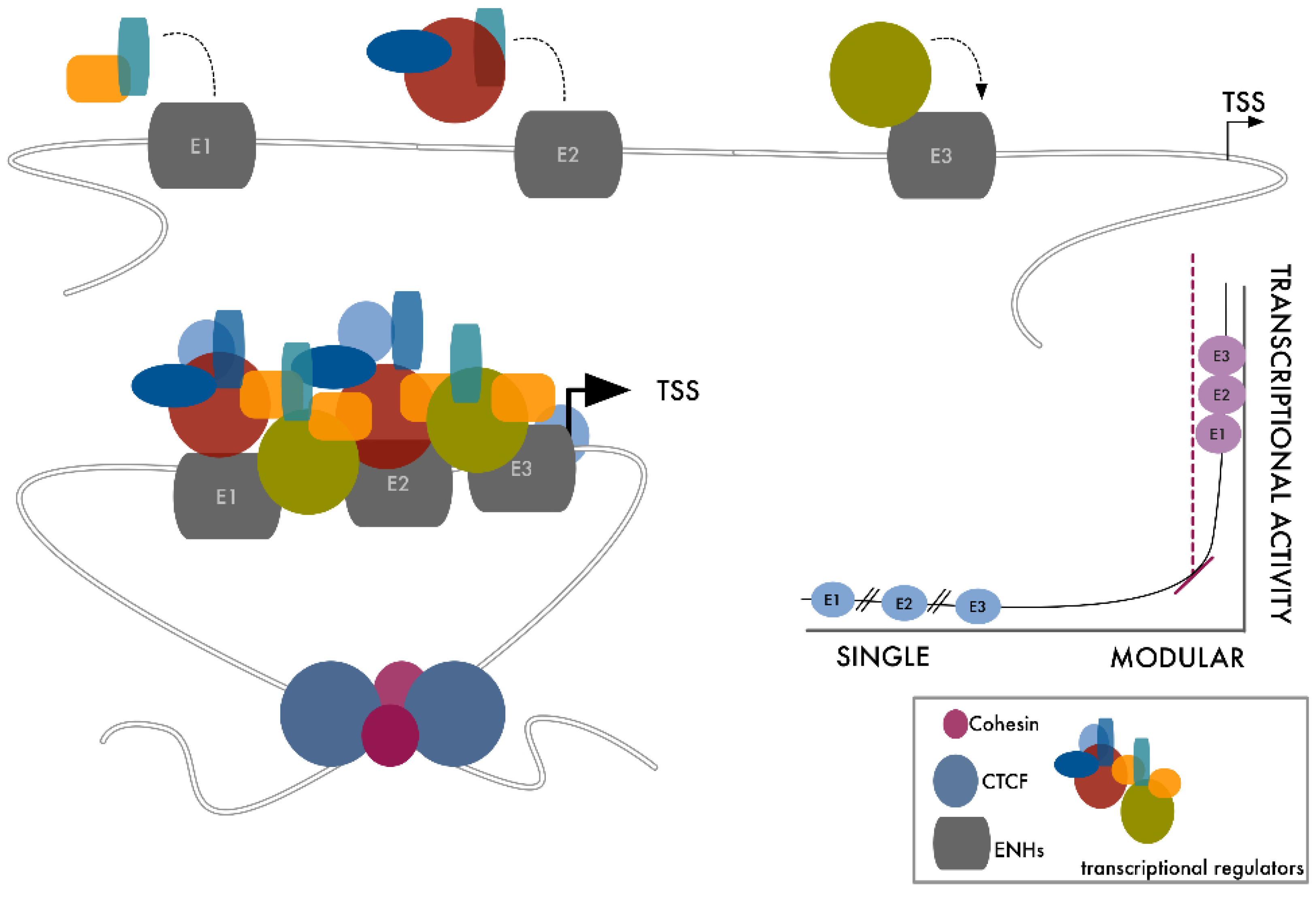 Cancers 13 05201 g001