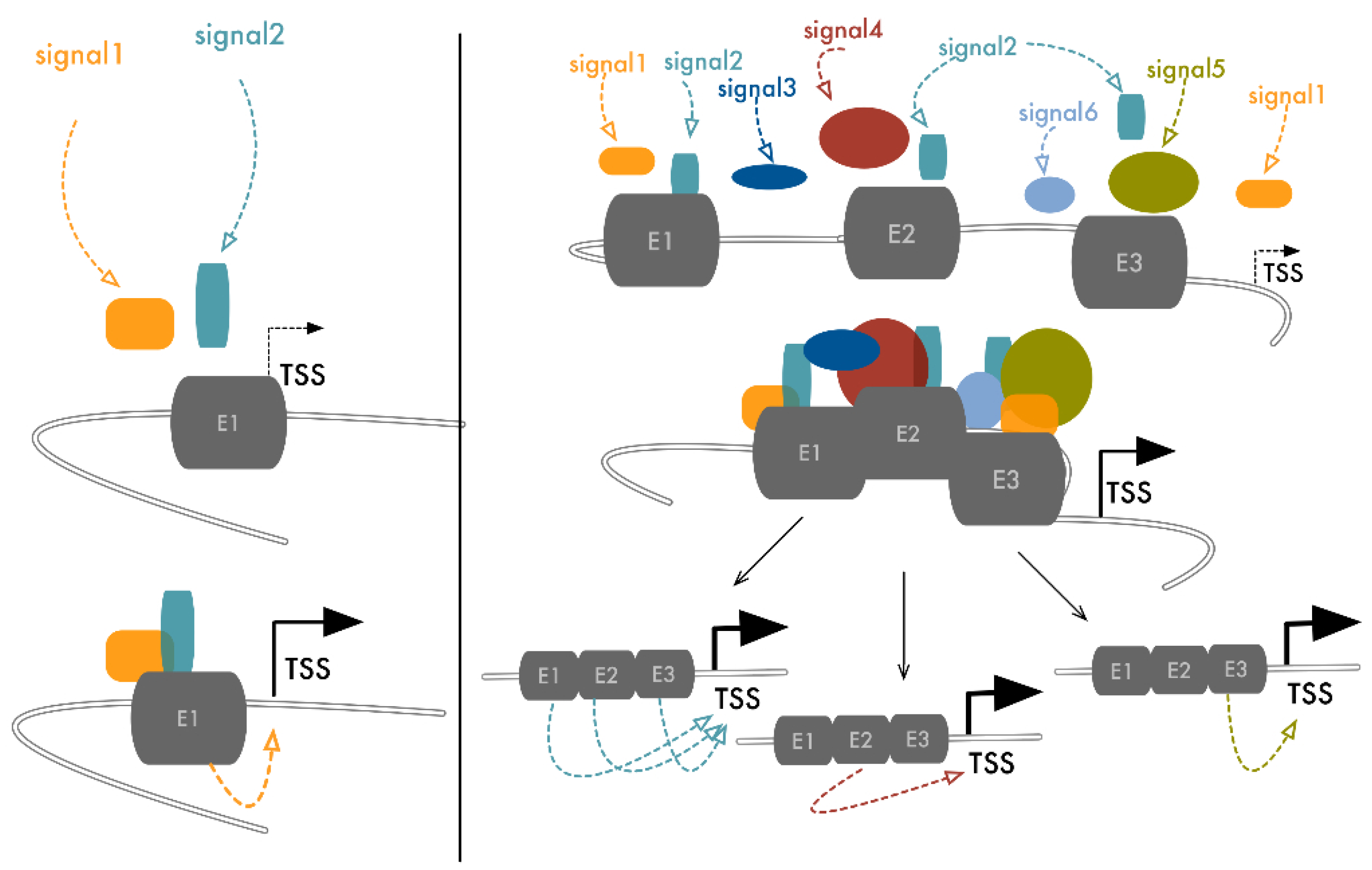 Cancers 13 05201 g003