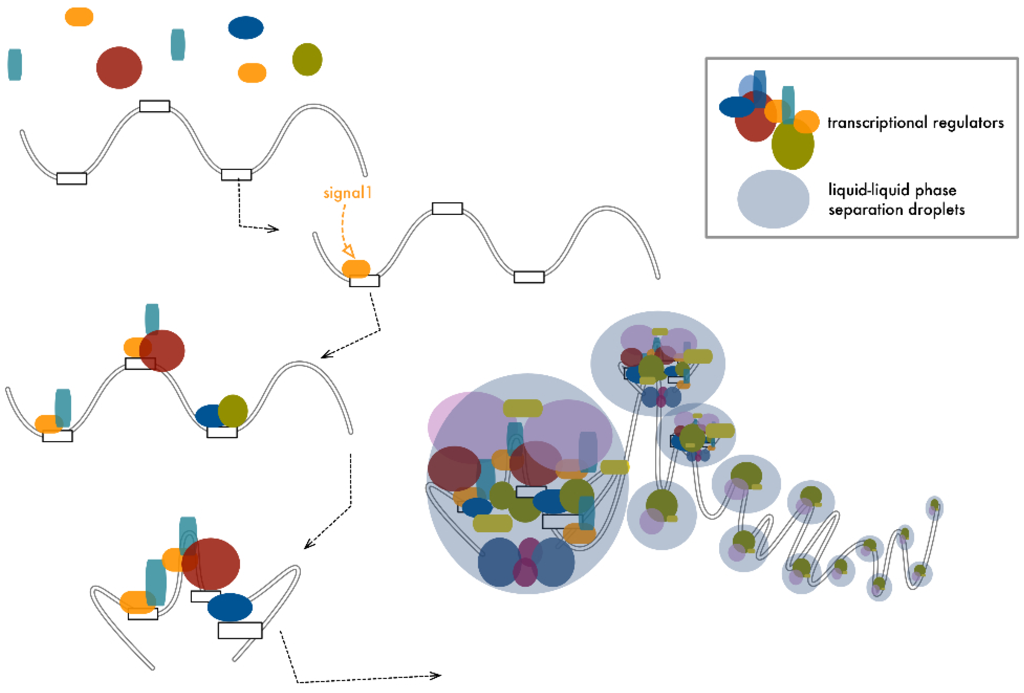 Cancers 13 05201 g004