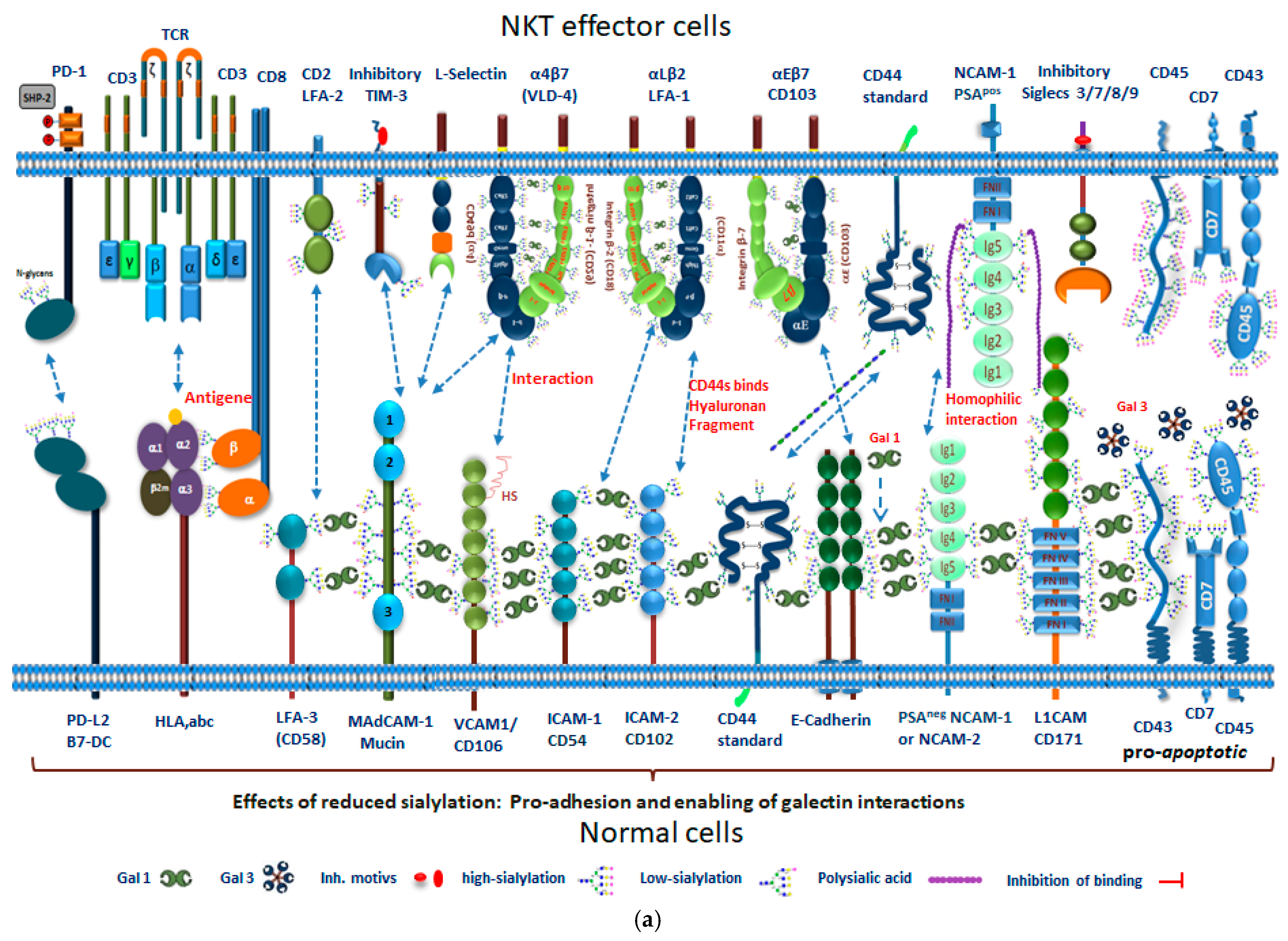 Cancers 13 05203 g005a