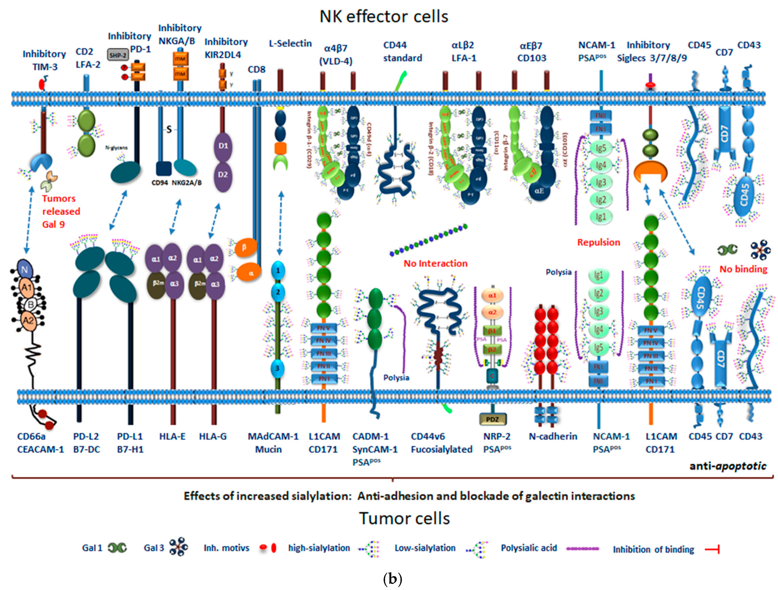 Cancers 13 05203 g005b