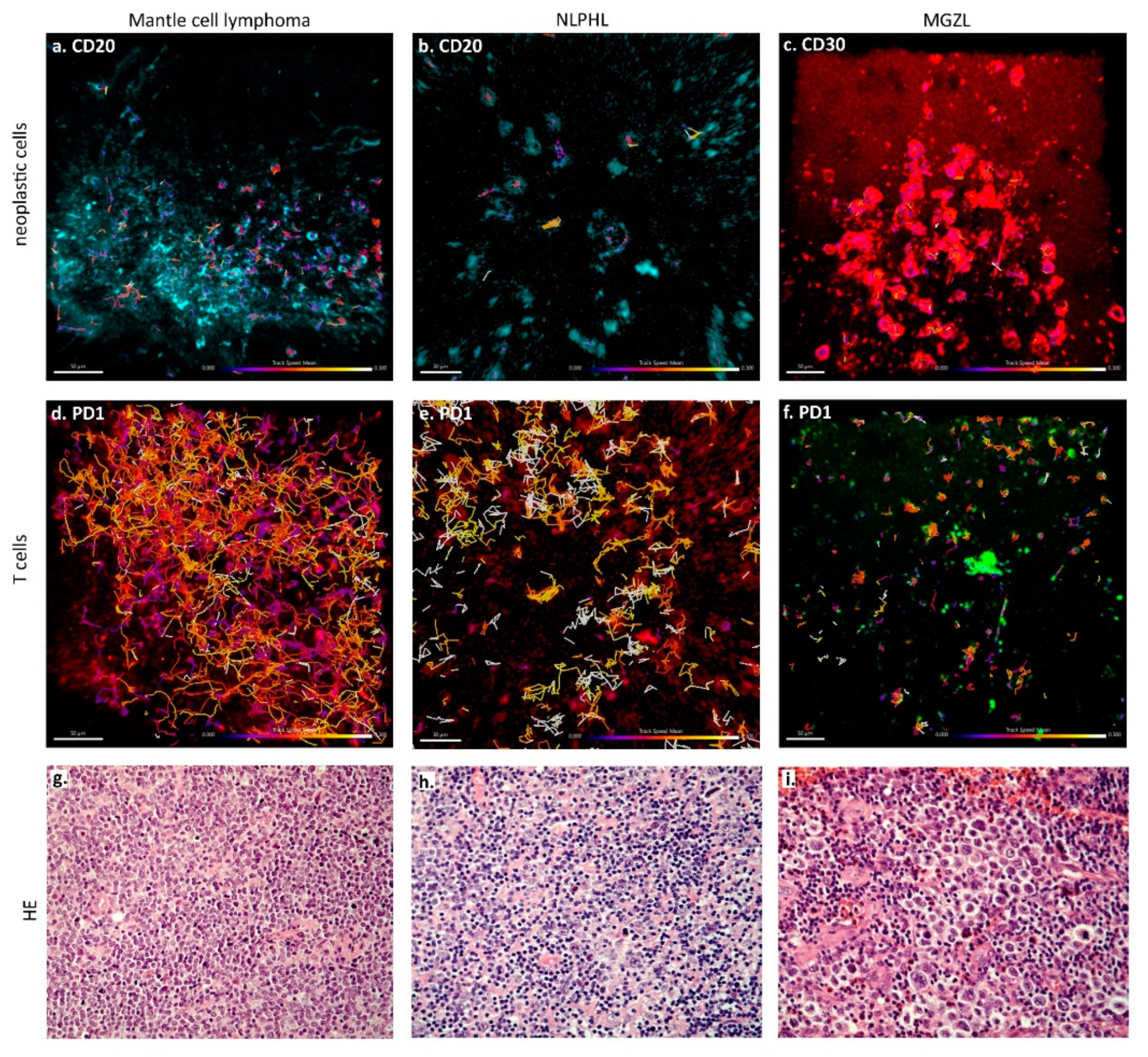 Cancers 13 05208 g002 Cancers 13 05208 g002