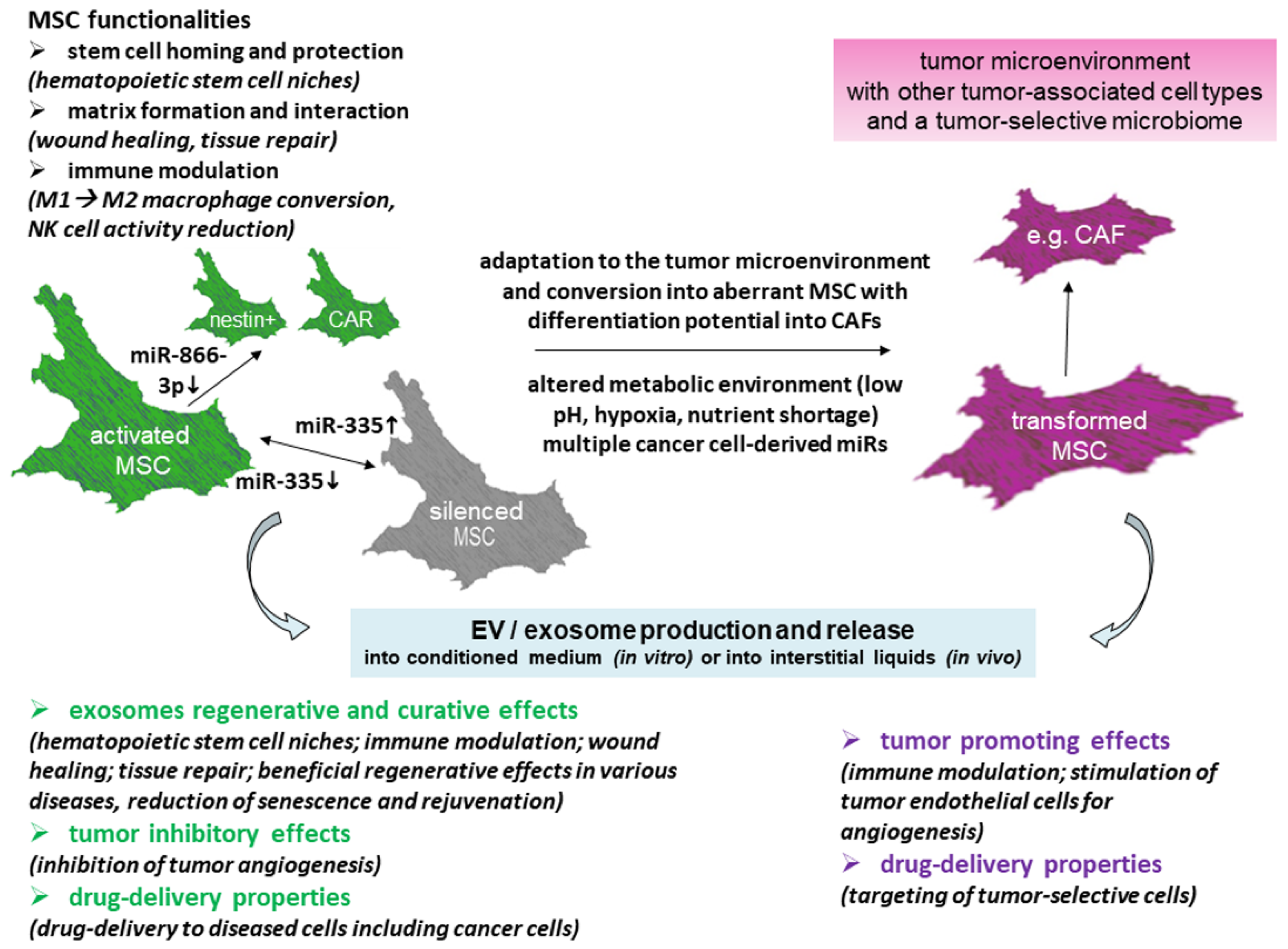 Cancers 13 05212 g002 550