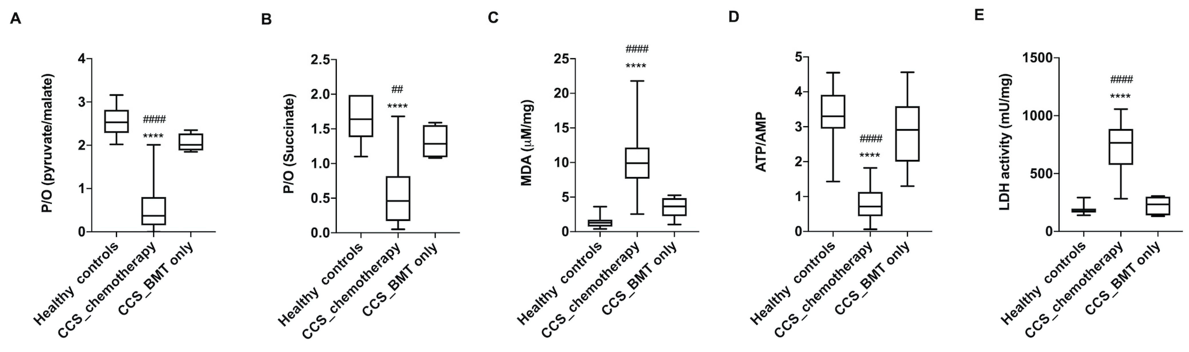 Cancers 13 05214 g004 Cancers 13 05214 g004
