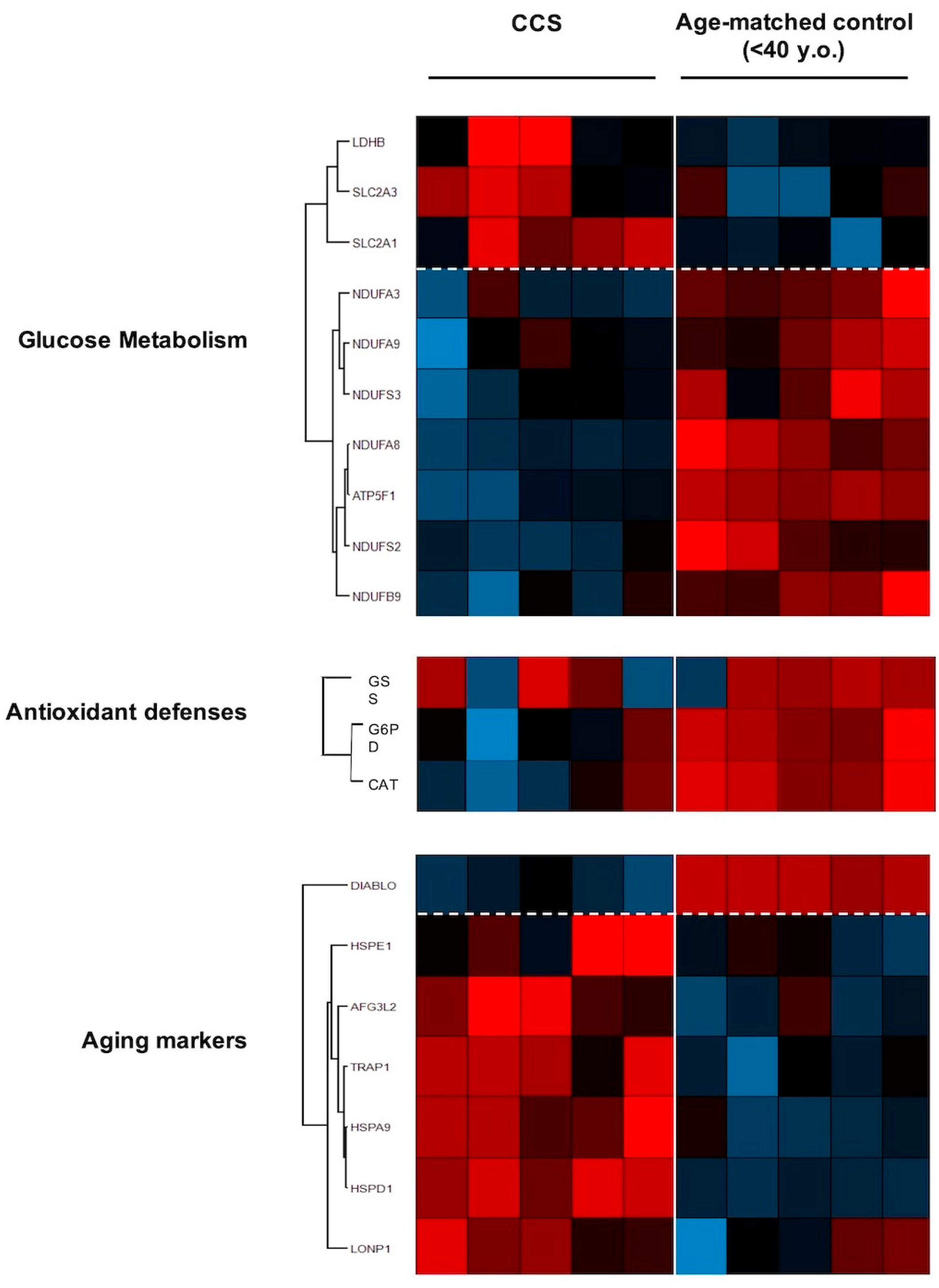 Cancers 13 05214 g006 Cancers 13 05214 g006