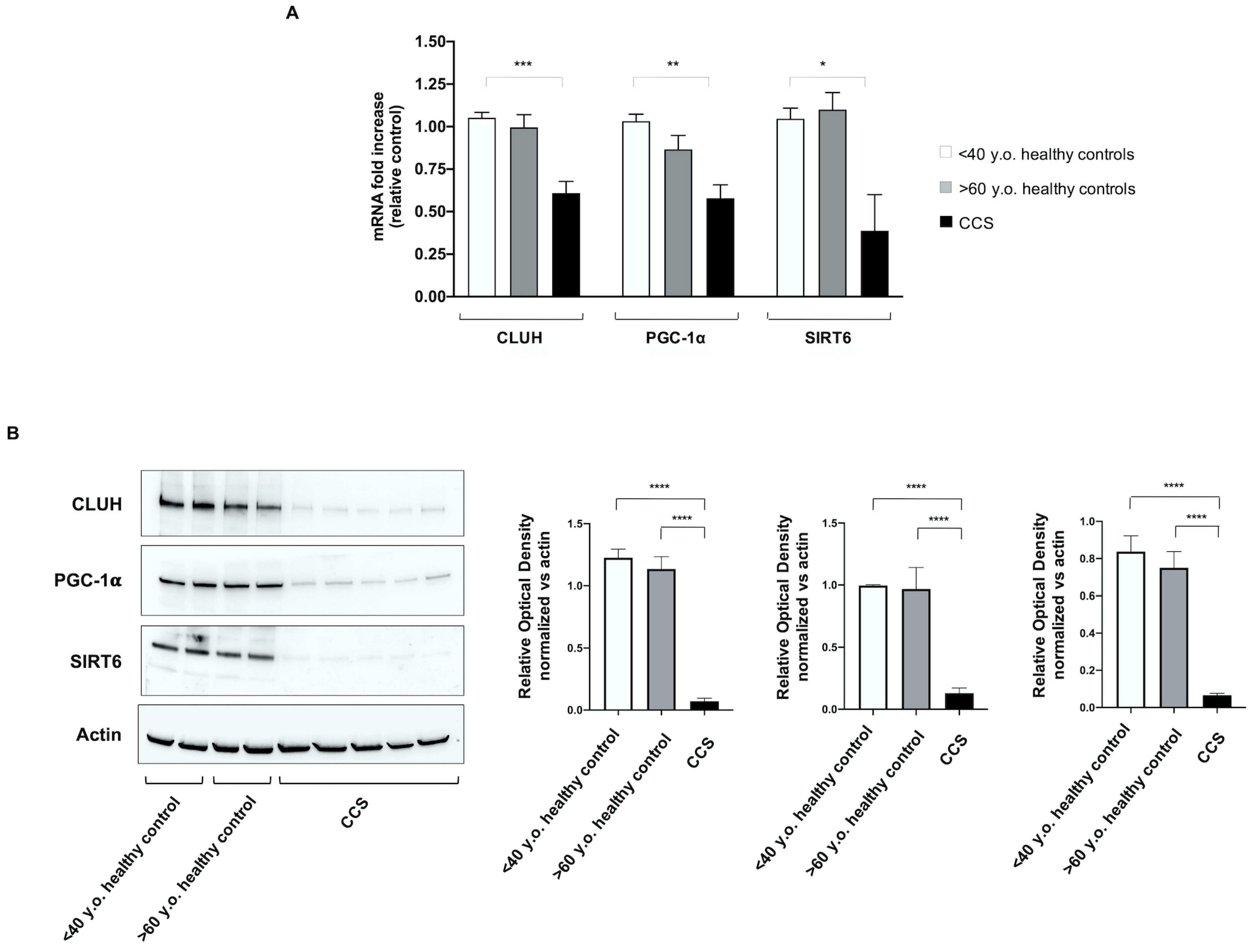Cancers 13 05214 g007 Cancers 13 05214 g007