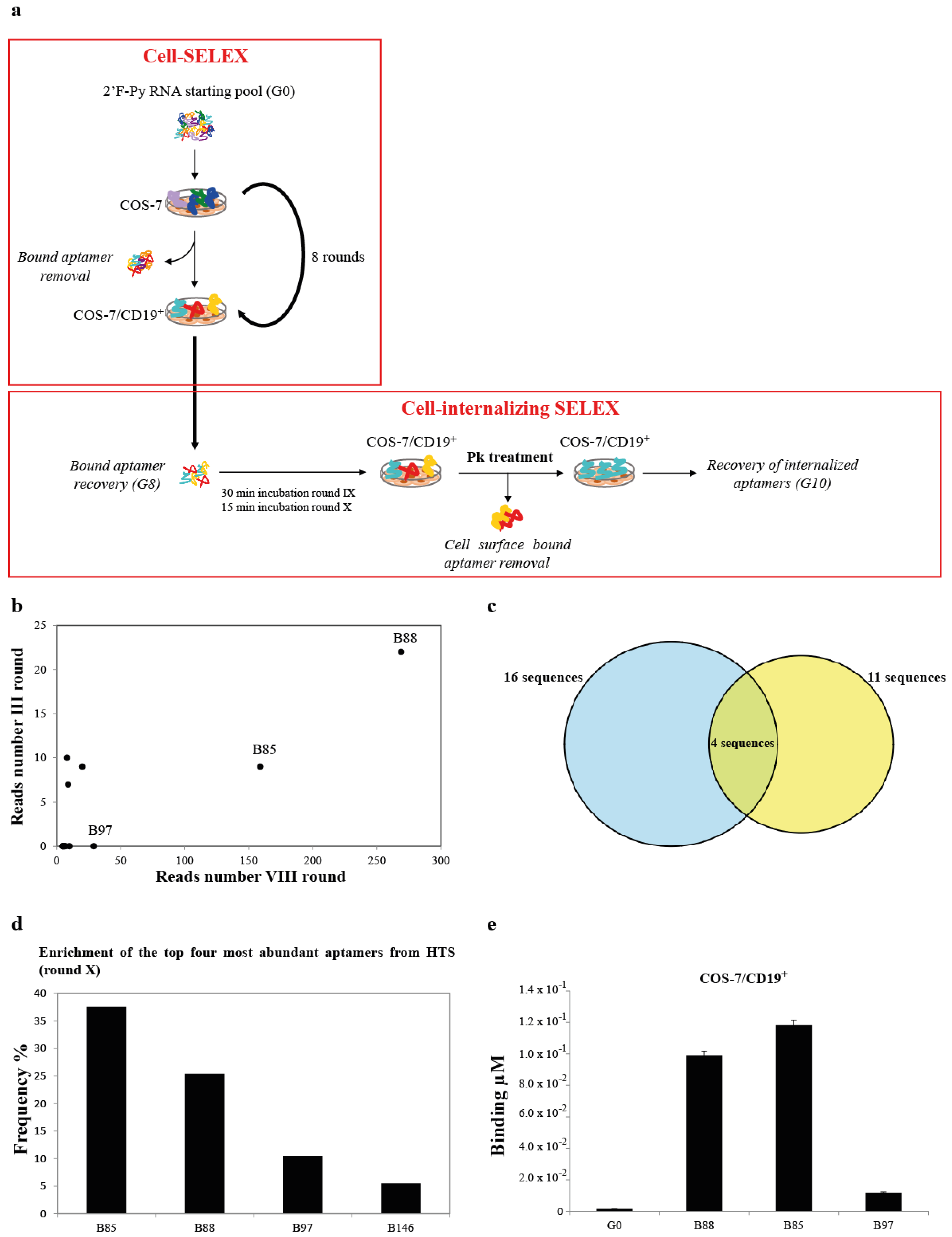 Cancers 13 05220 g001