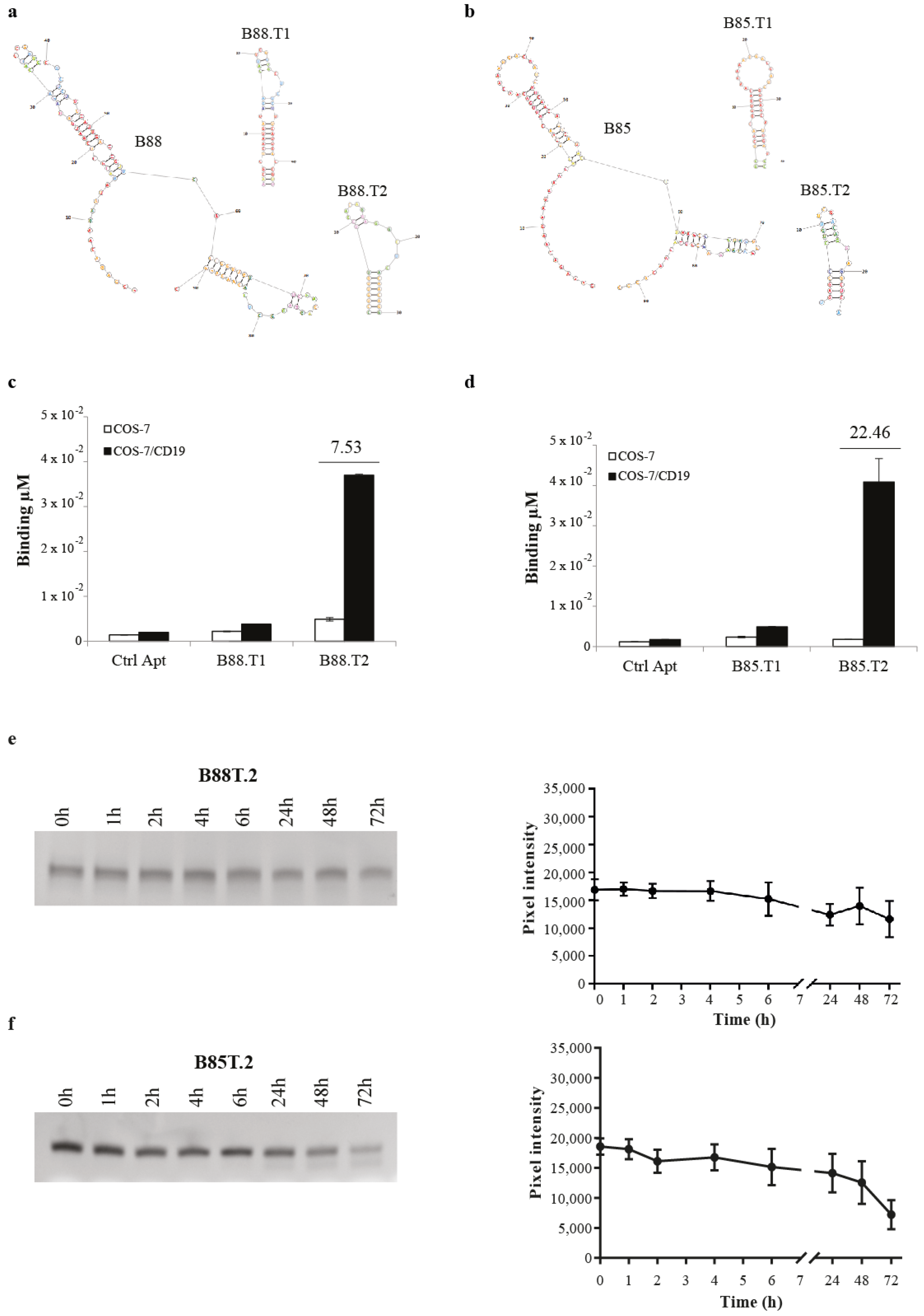 Cancers 13 05220 g002