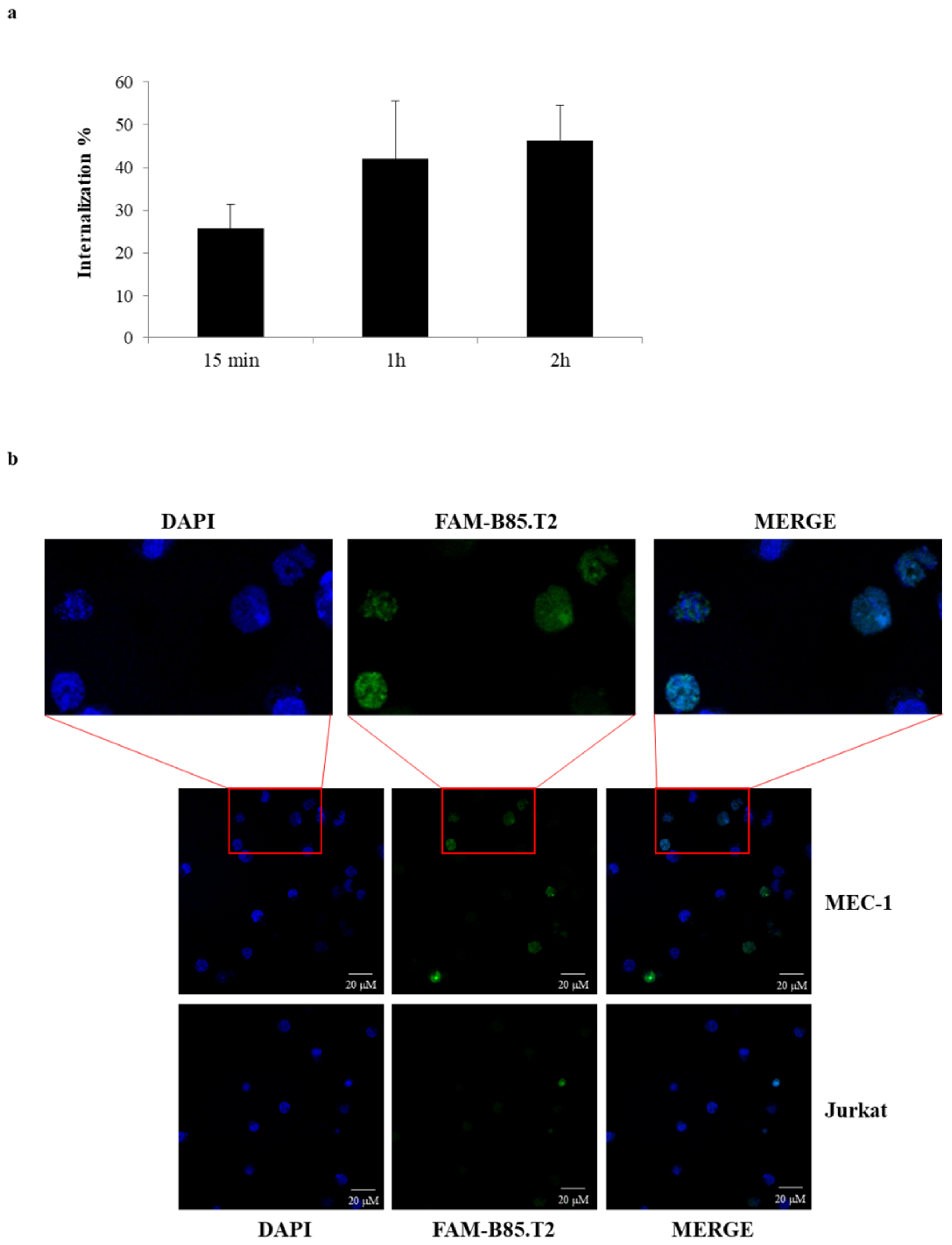Cancers 13 05220 g004