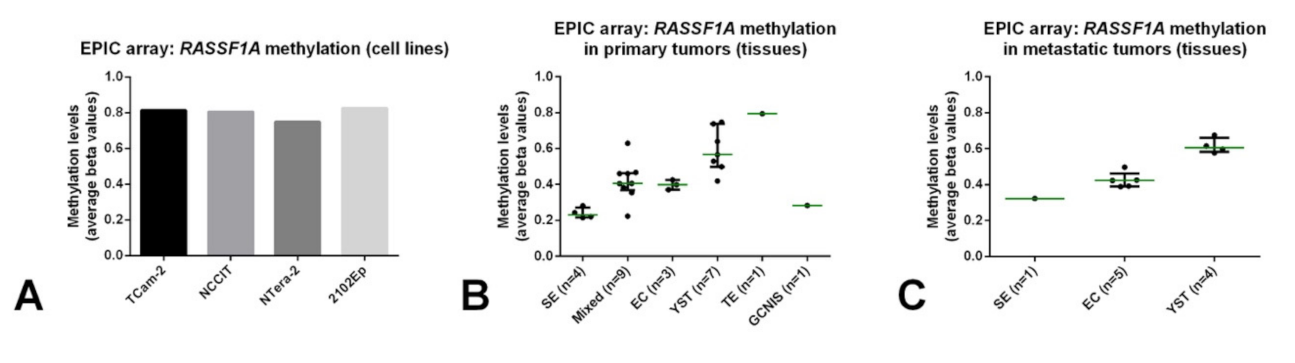 Cancers 13 05228 g005 Cancers 13 05228 g005