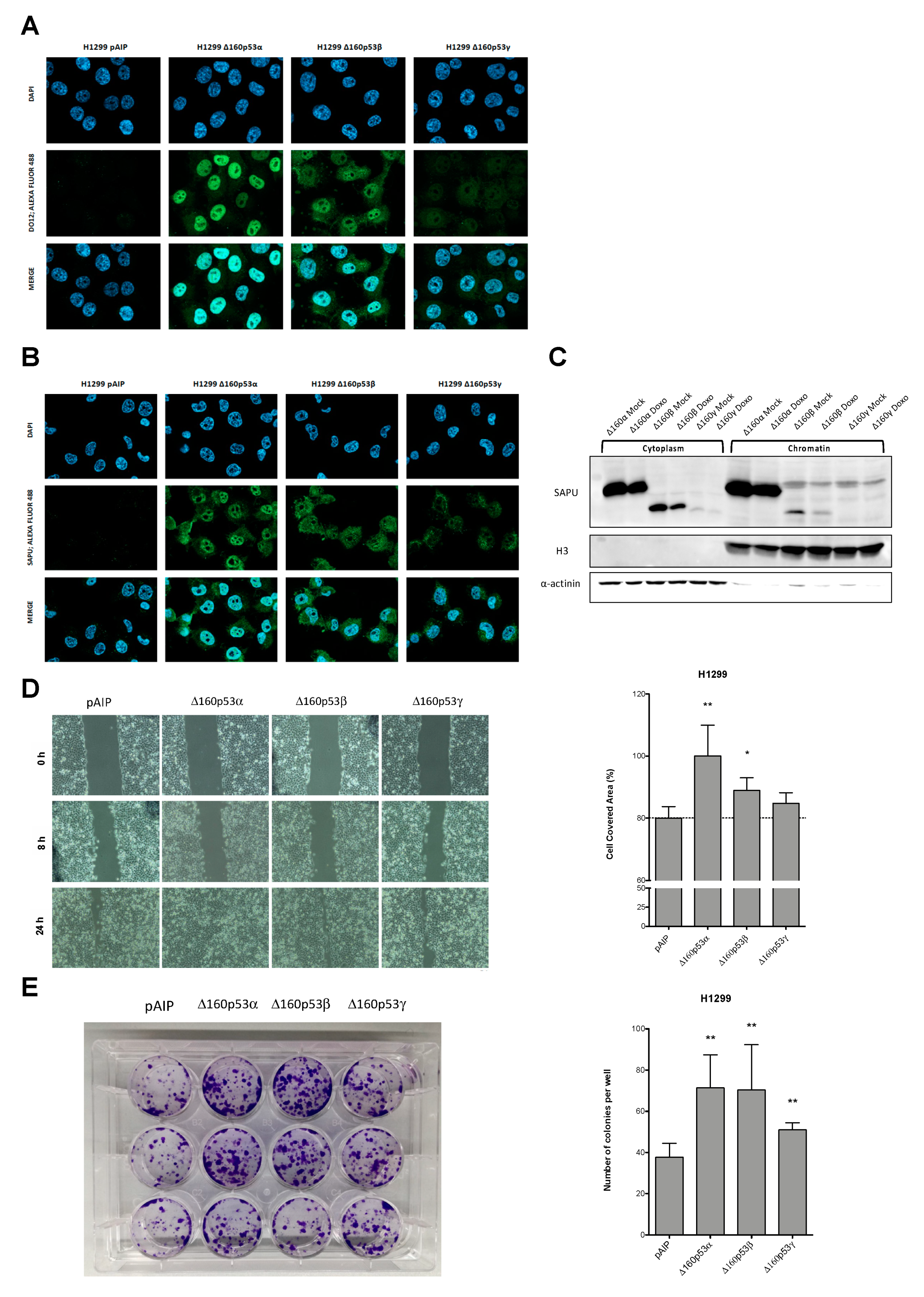 Cancers 13 05231 g004 550