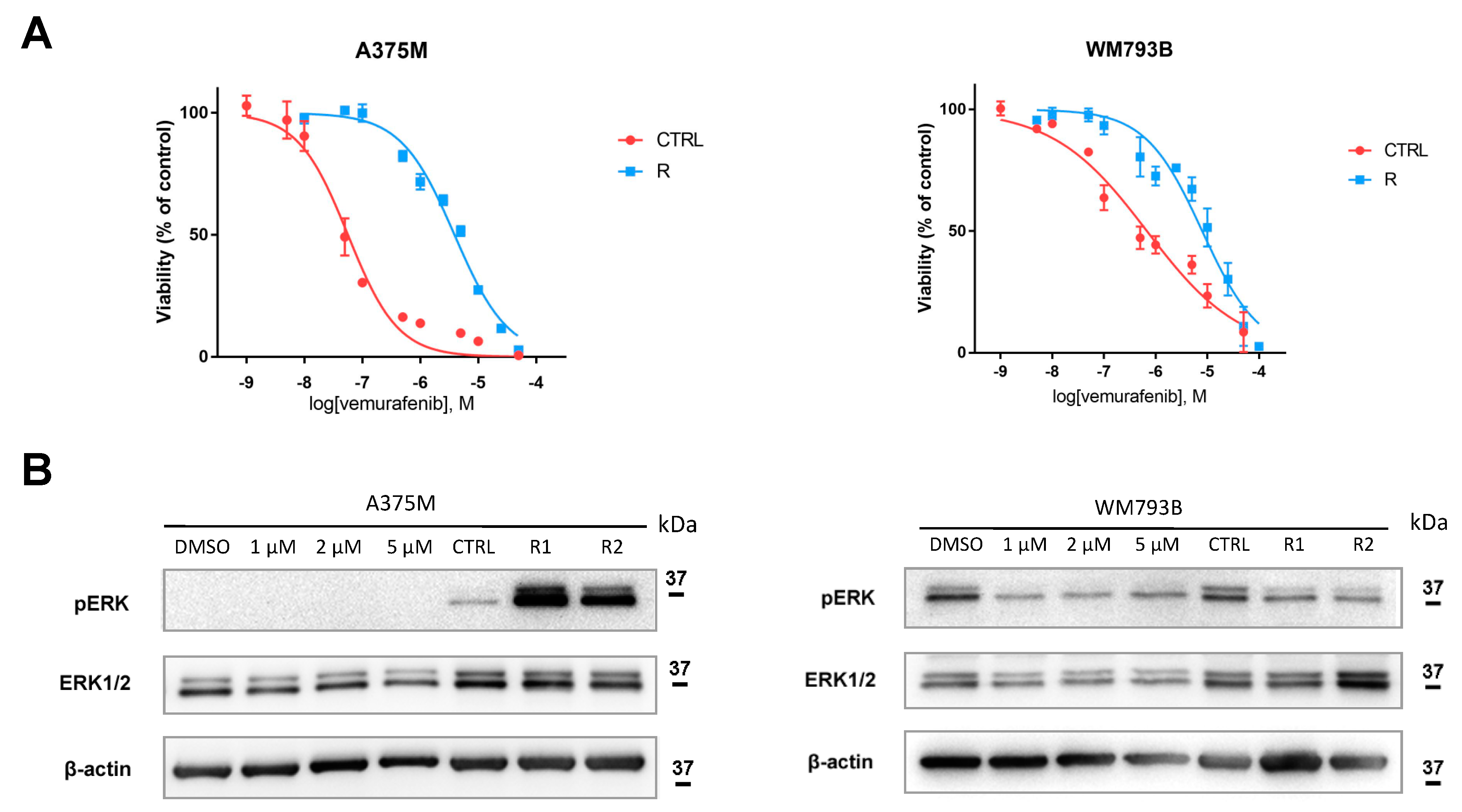 Cancers 13 05231 g005 550