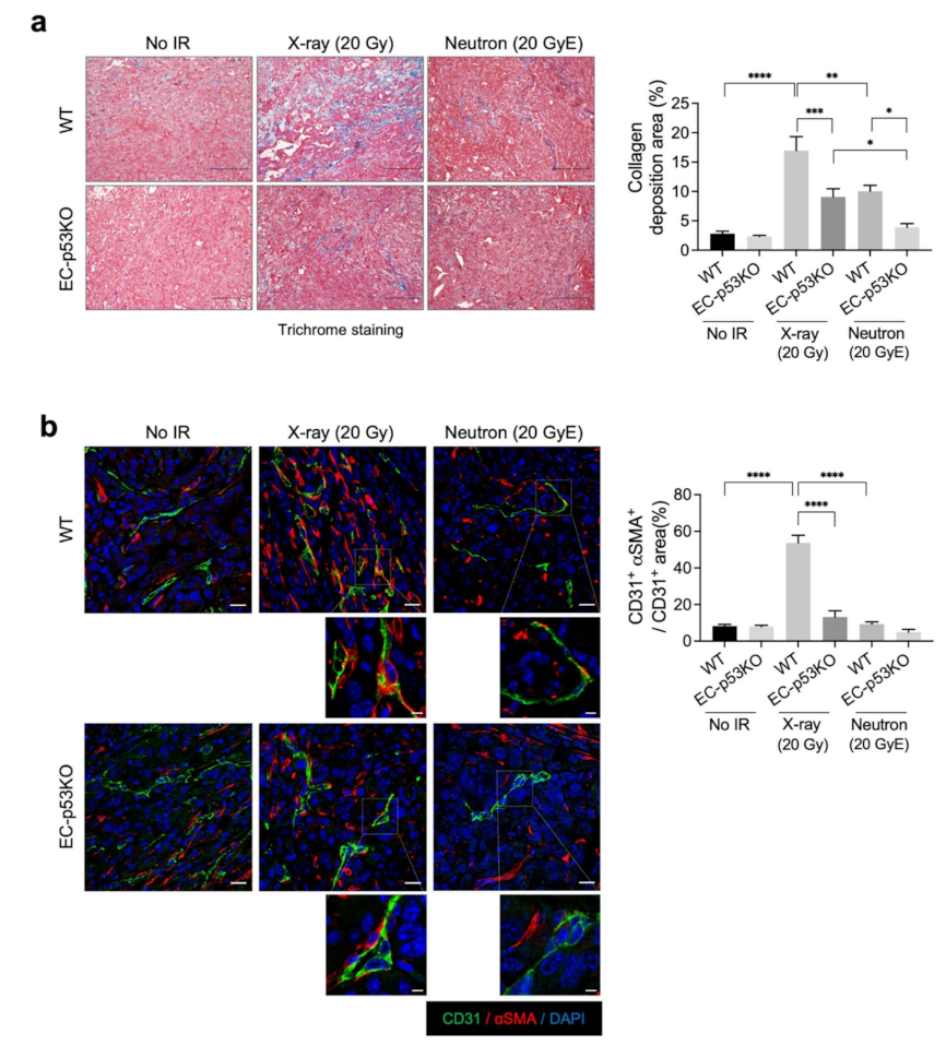 Cancers 13 05232 g002 Cancers 13 05232 g002