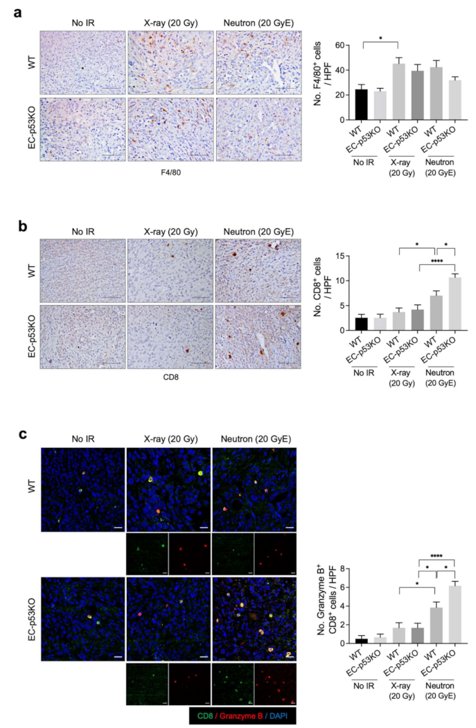 Cancers 13 05232 g003 Cancers 13 05232 g003