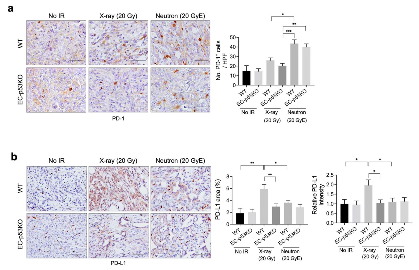 Cancers 13 05232 g004 Cancers 13 05232 g004