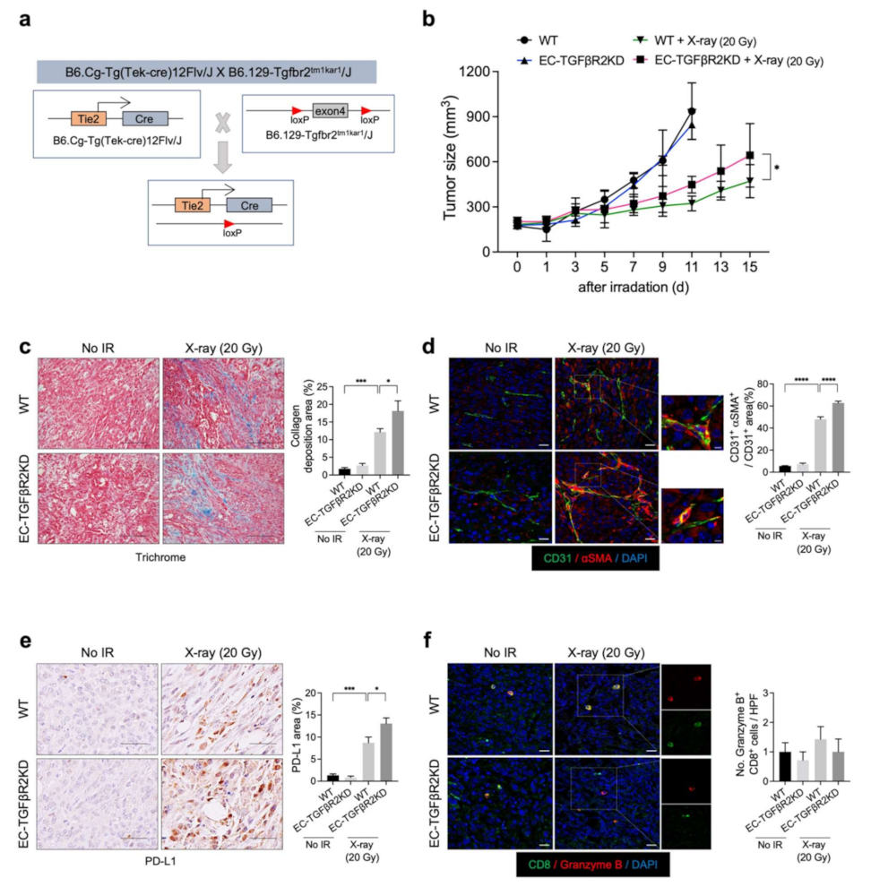 Cancers 13 05232 g005 Cancers 13 05232 g005