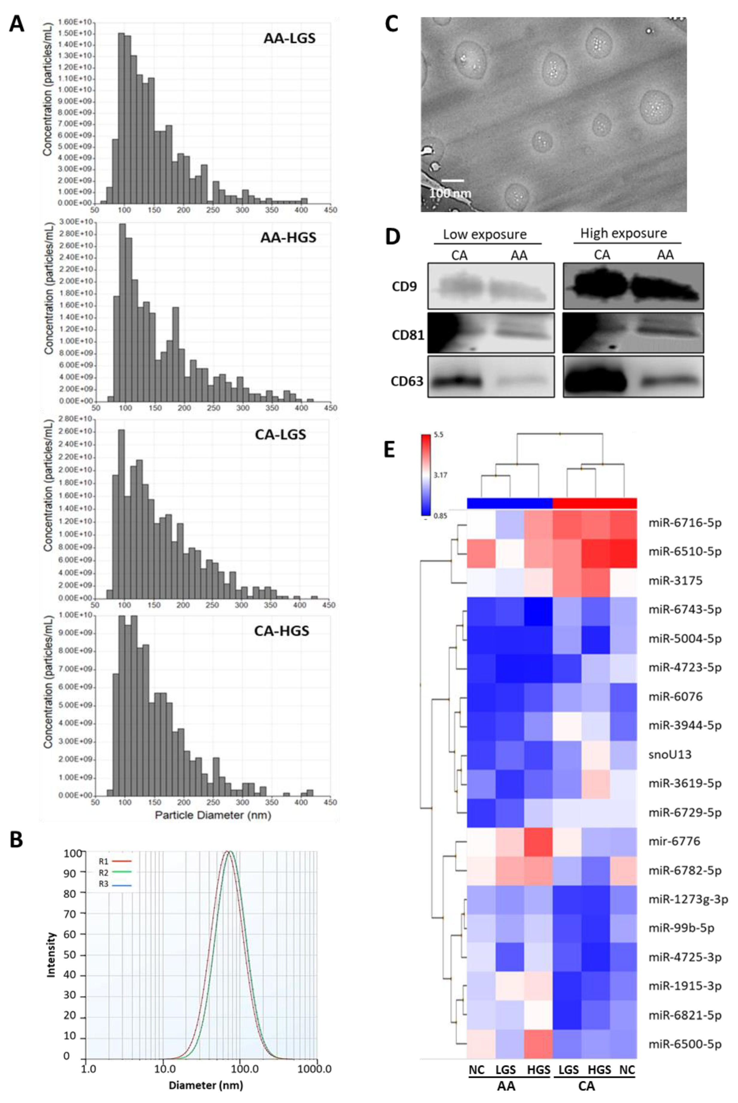 Cancers 13 05236 g001 550