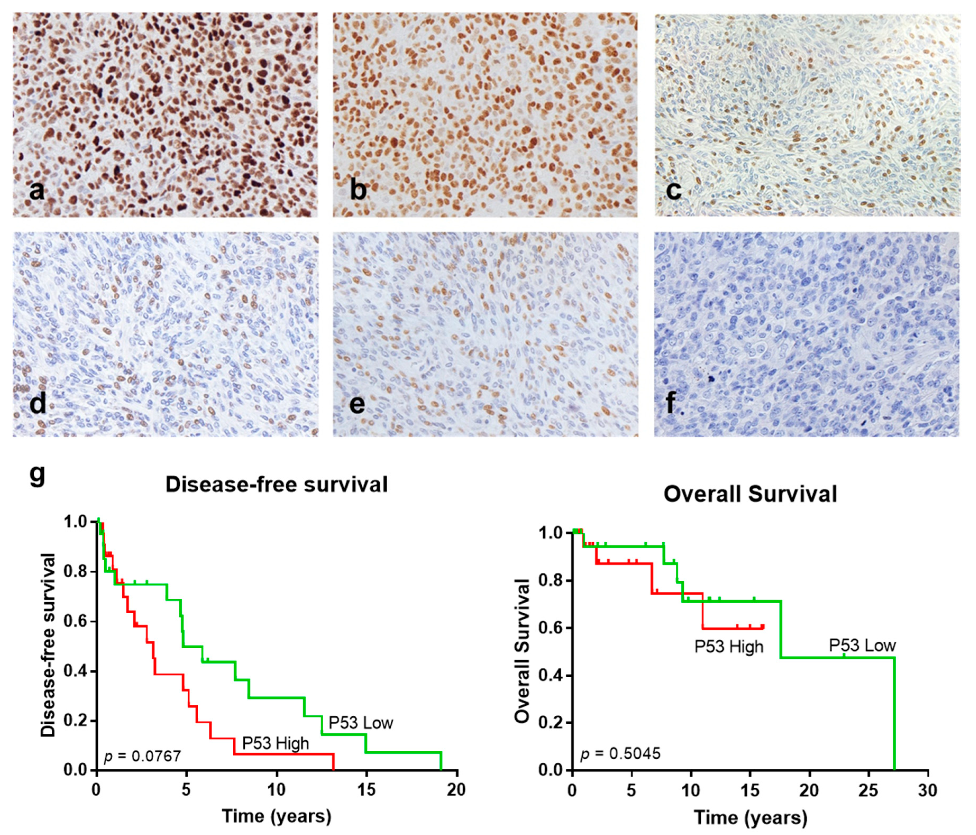 Cancers 13 05237 g002 550