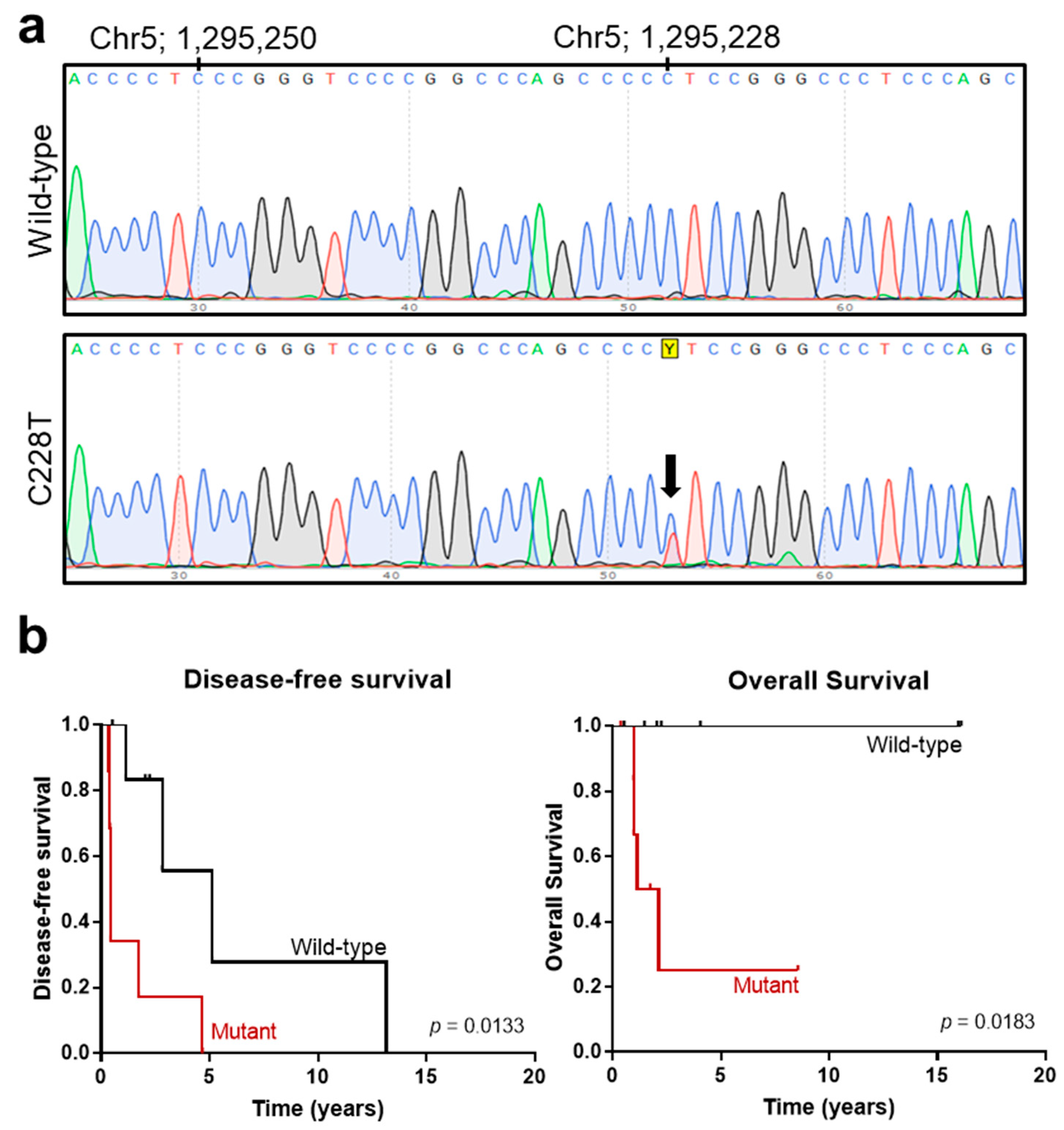 Cancers 13 05237 g003 550