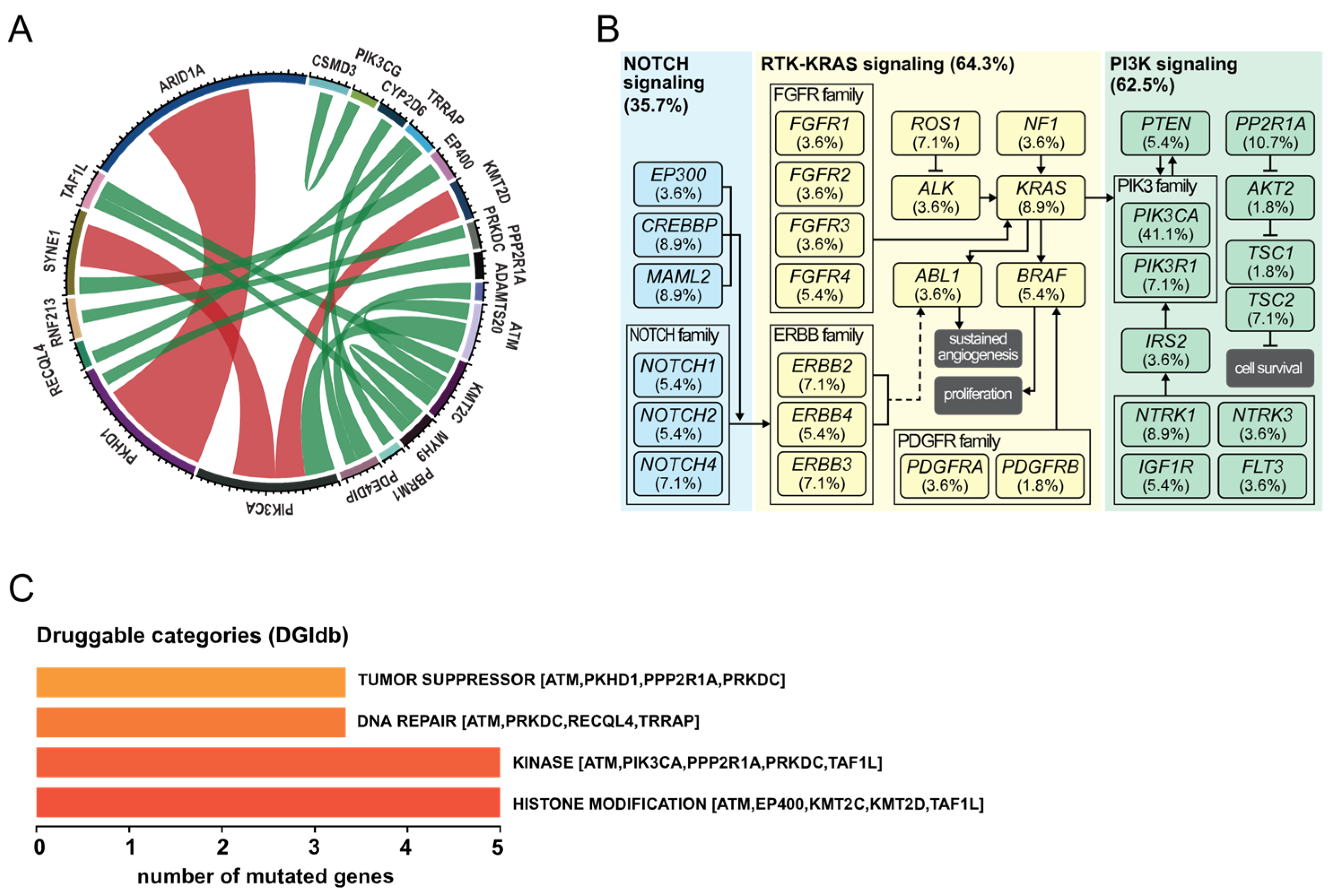 Cancers 13 05242 g002