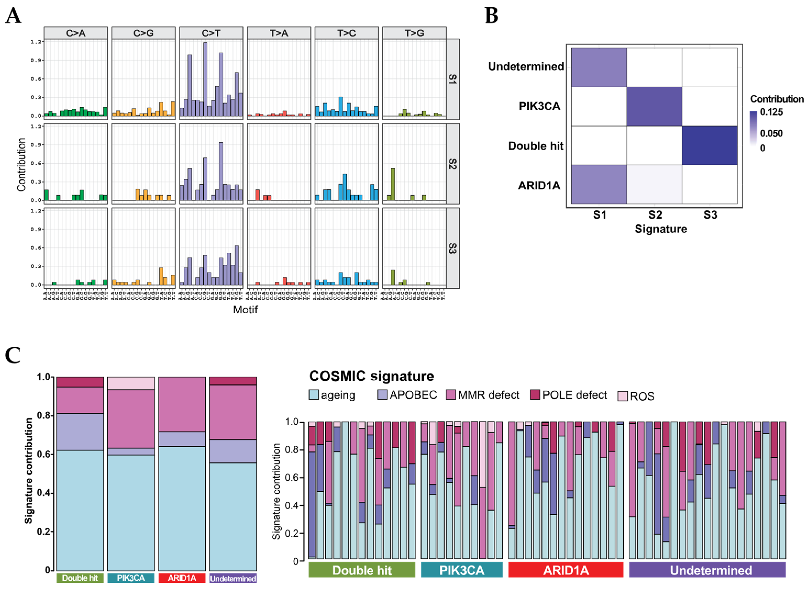 Cancers 13 05242 g003