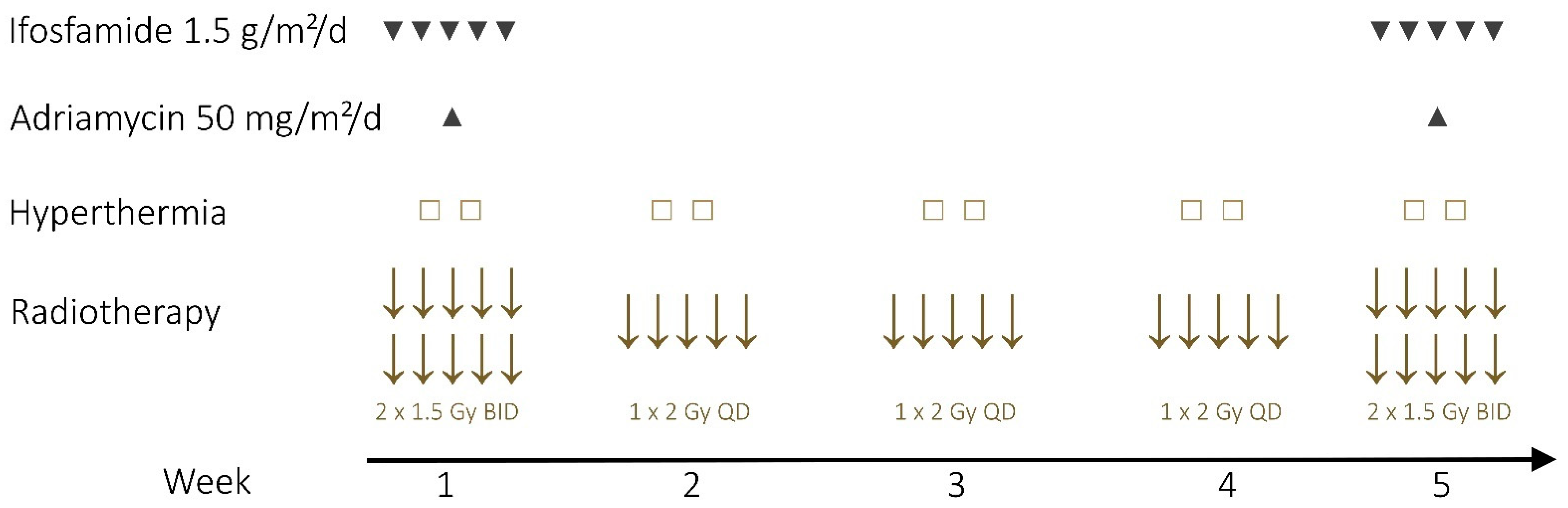 Cancers 13 05244 g002