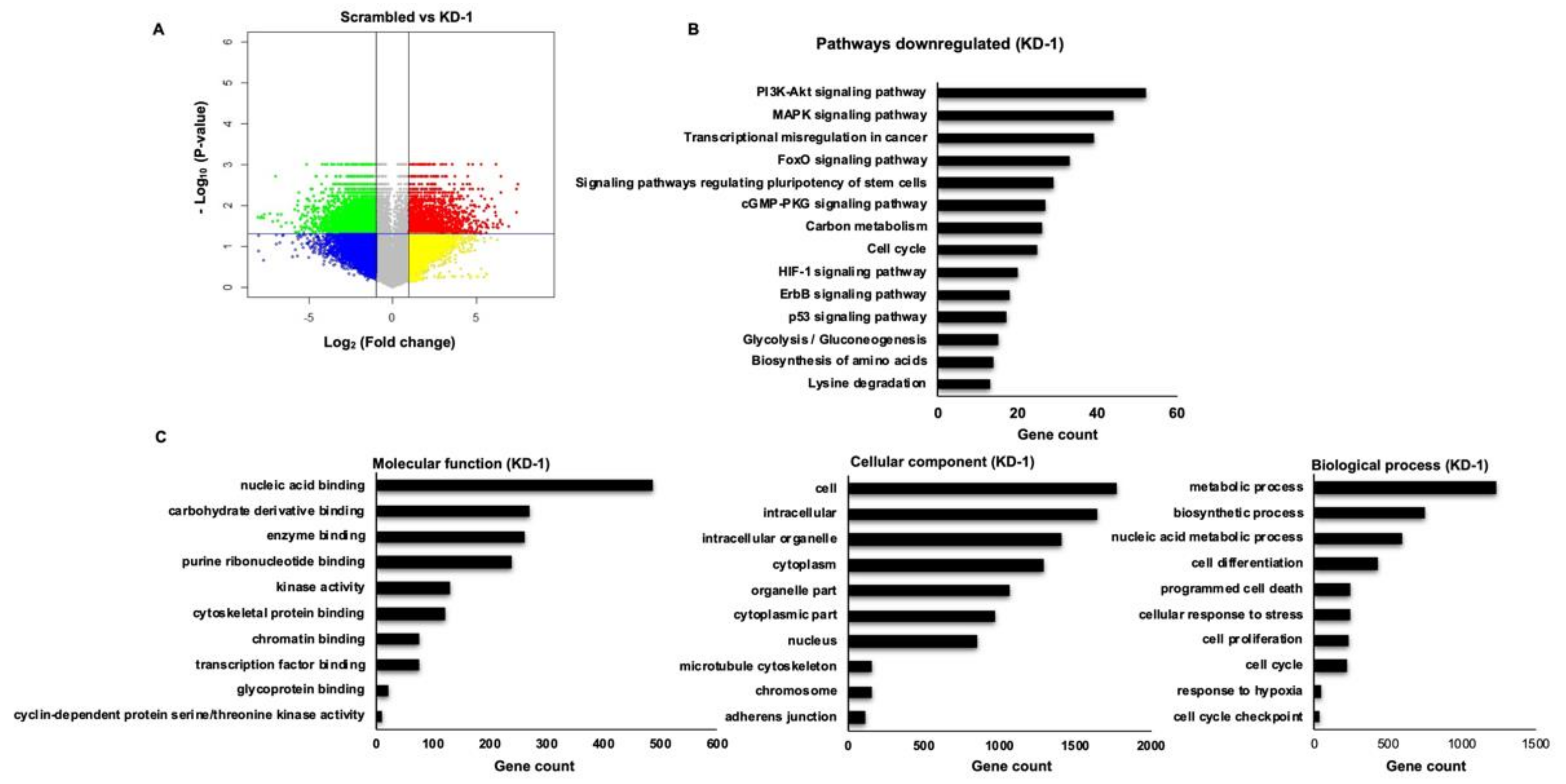 Cancers 13 05248 g005 Cancers 13 05248 g005