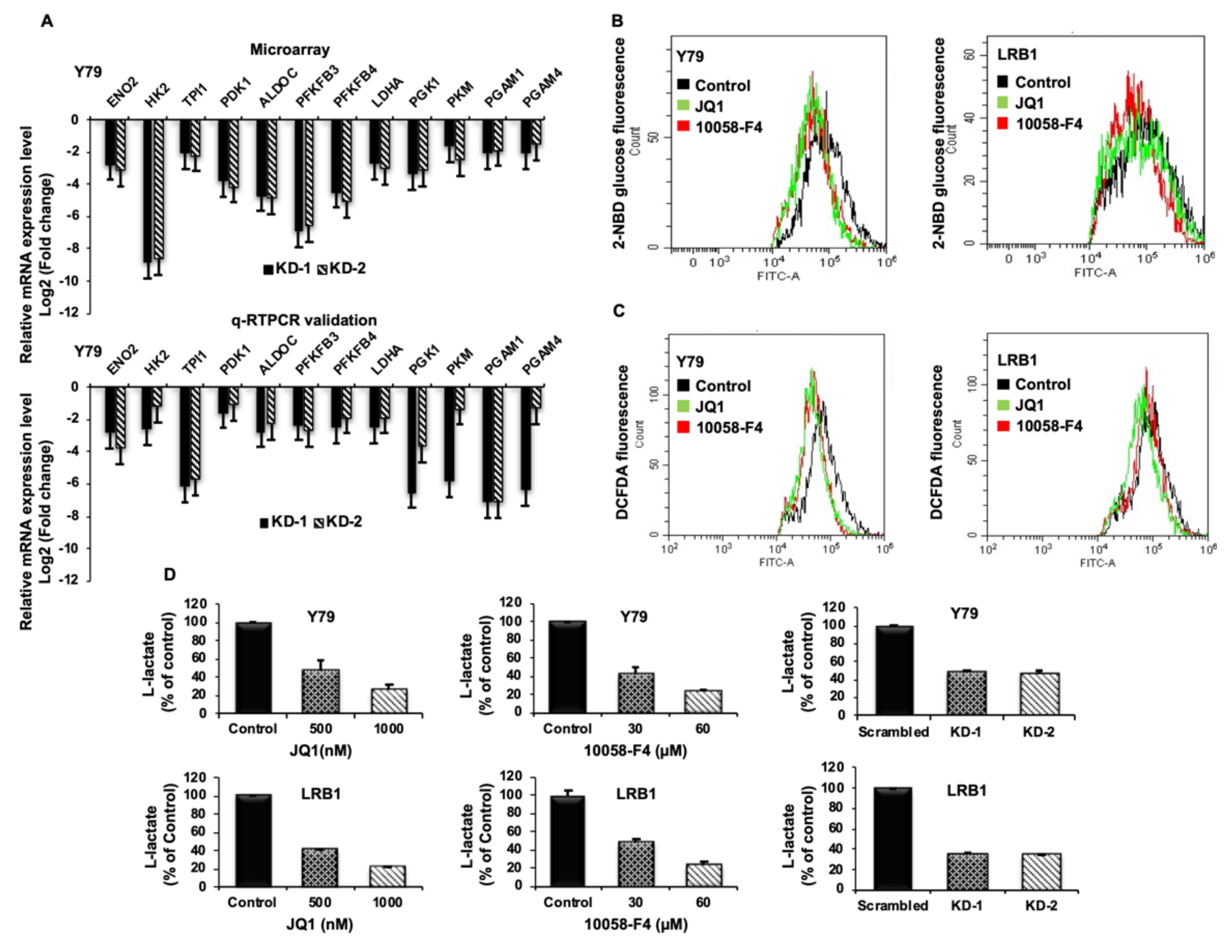Cancers 13 05248 g006 Cancers 13 05248 g006