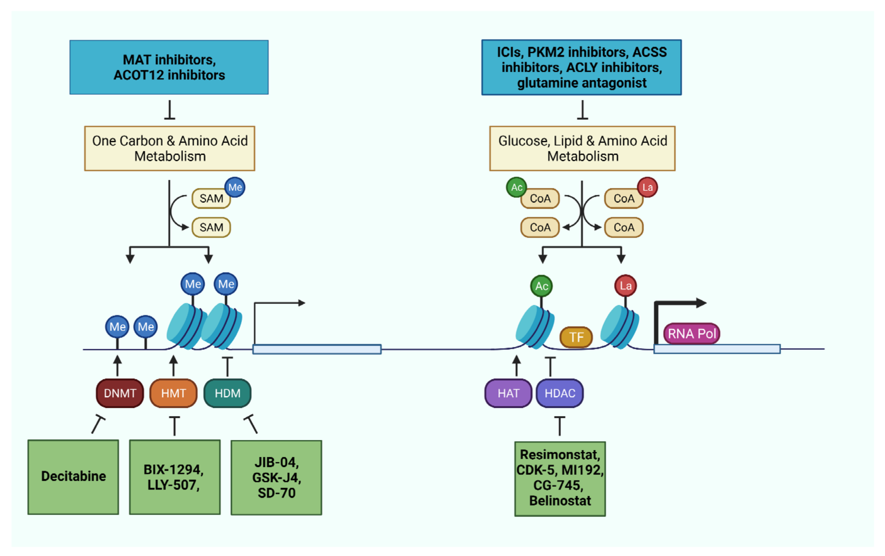 Cancers 13 05250 g003 Cancers 13 05250 g003