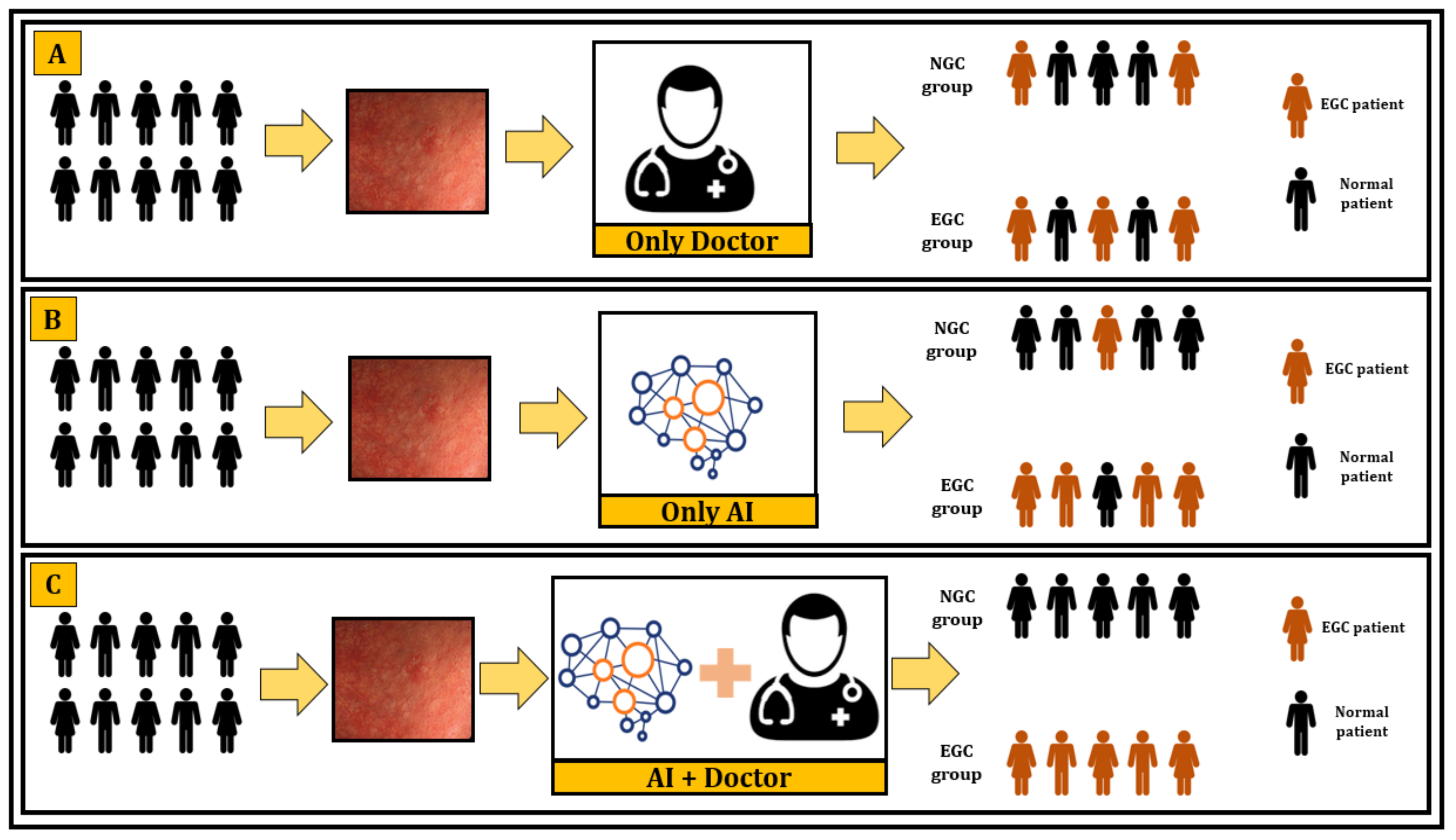 Cancers 13 05253 g005