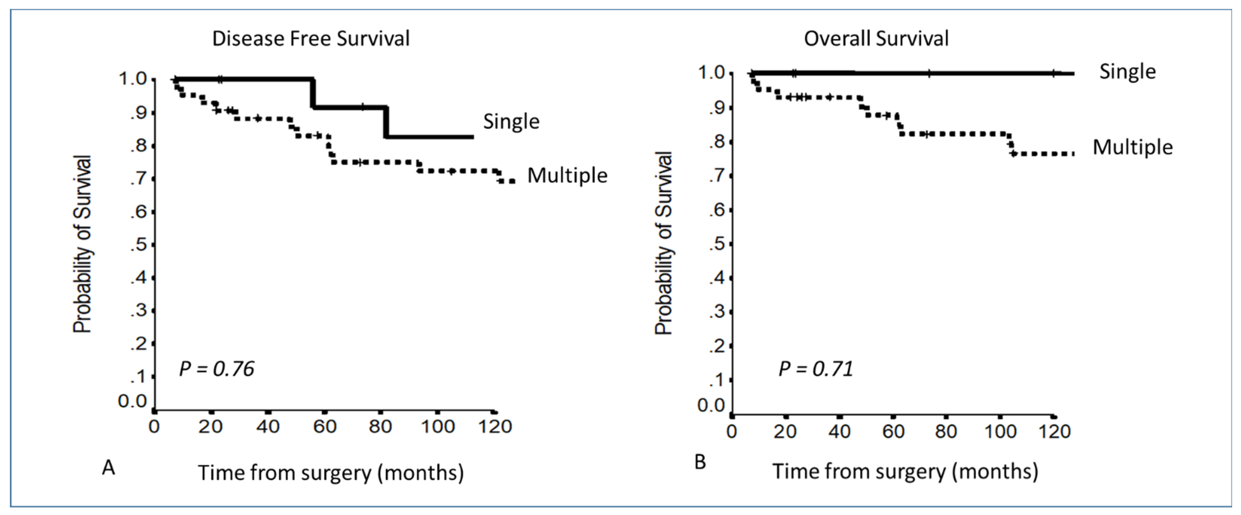 Cancers 13 05254 g004 Cancers 13 05254 g004